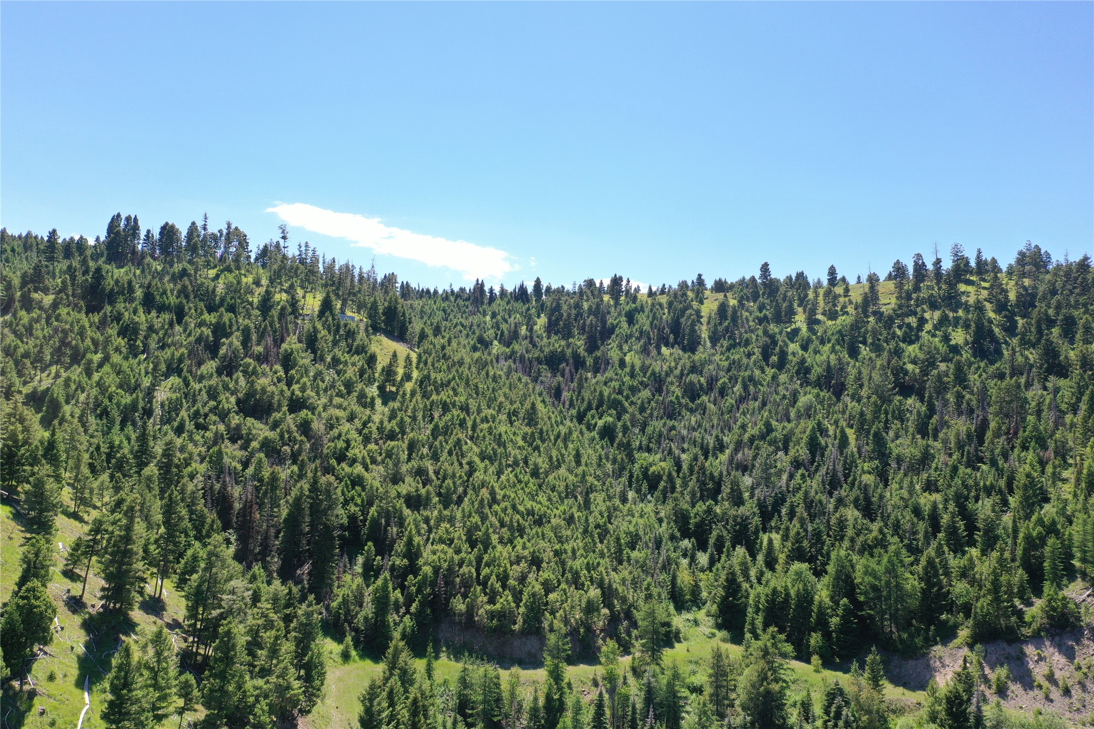 13 Tract, Garnet Range Property Photo 6
