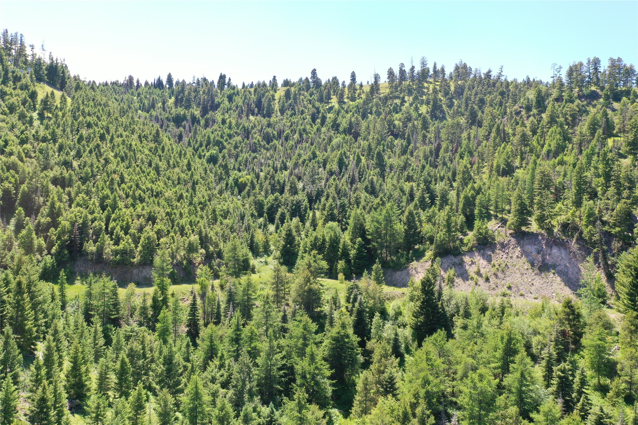 13 Tract, Garnet Range Property Photo 7