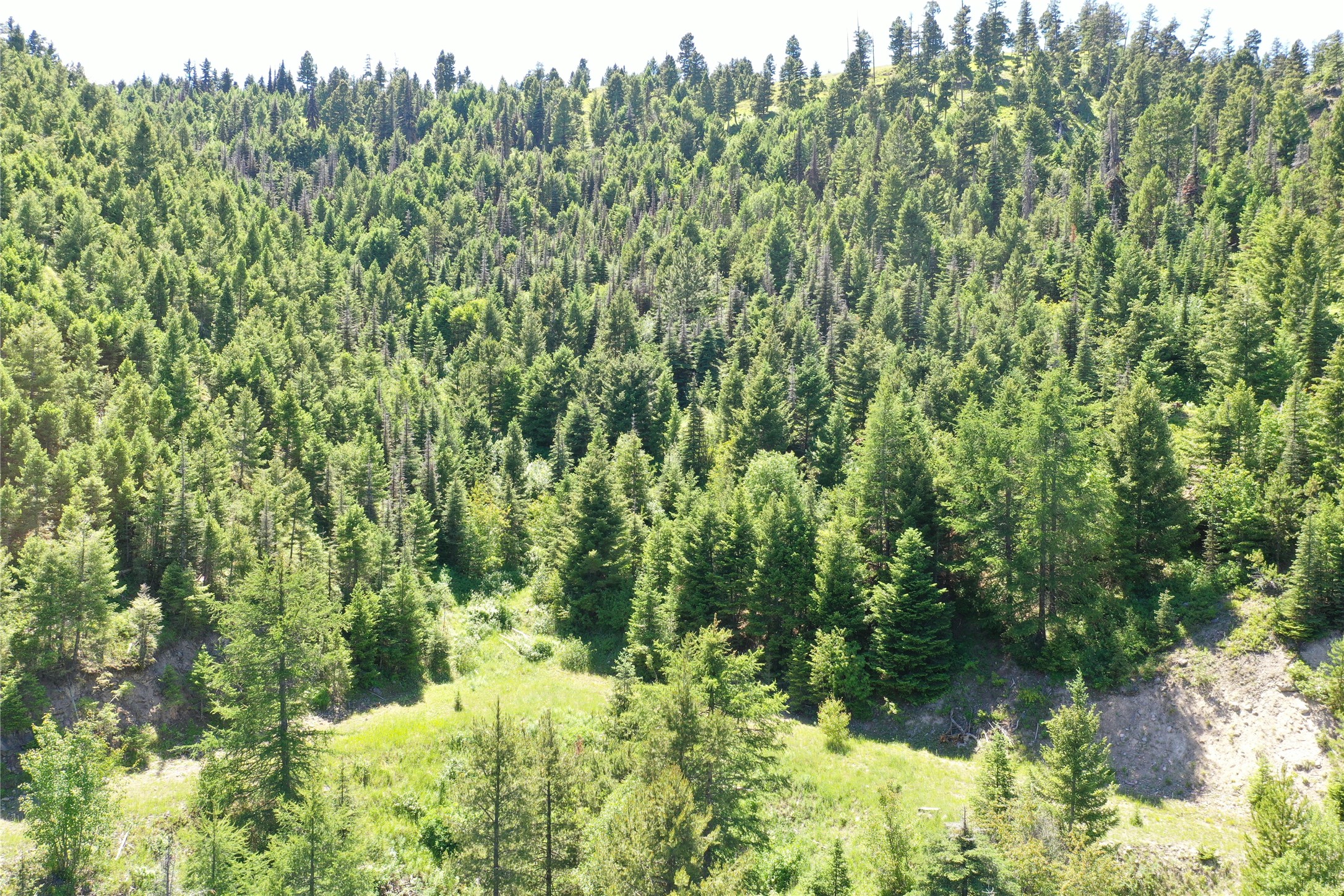 13 Tract, Garnet Range Property Photo 8