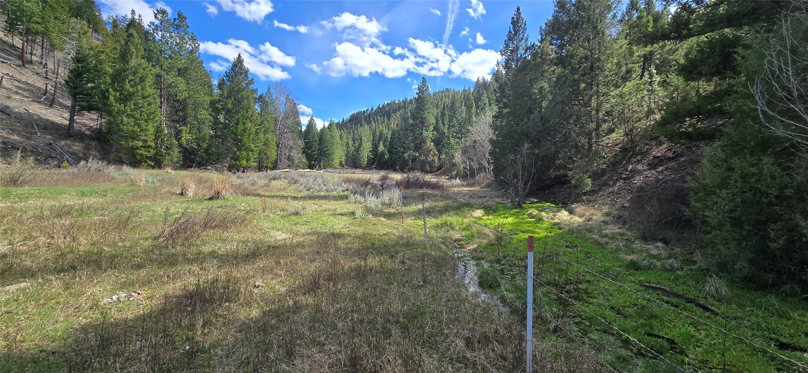 1 Tract, Bull Elk Property Photo 5