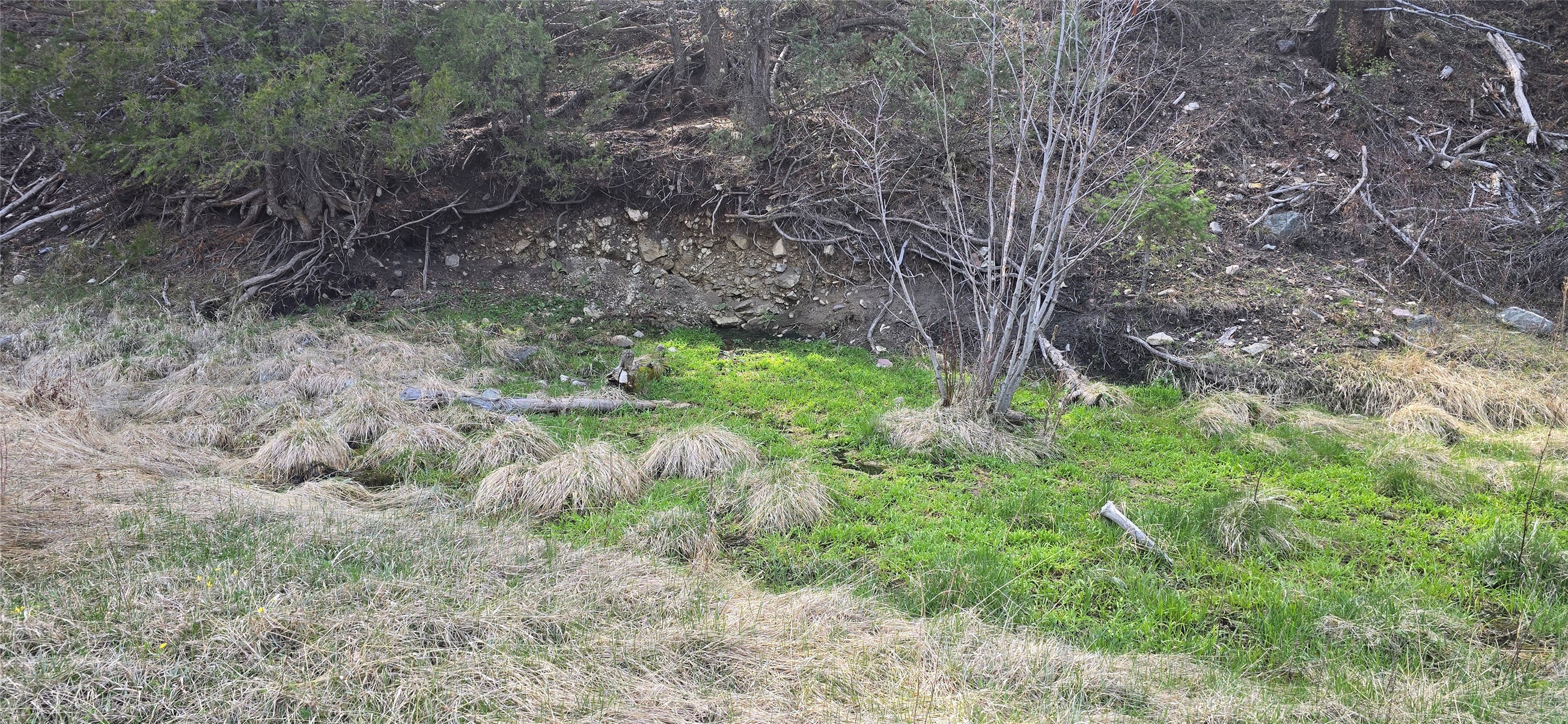 1 Tract, Bull Elk Property Photo 7