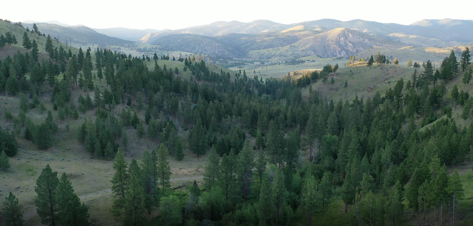 1 Tract, Bull Elk Property Photo 8