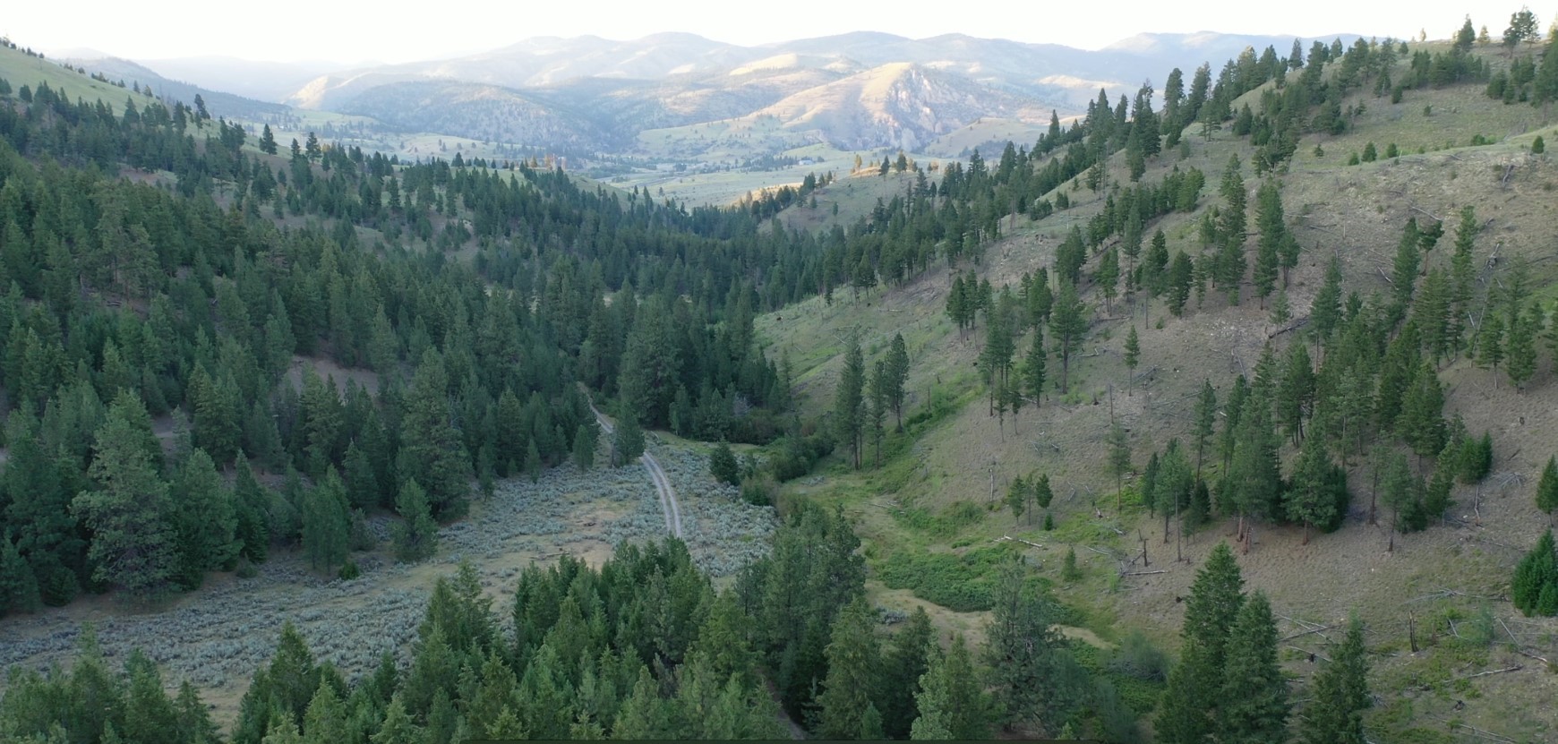 1 Tract, Bull Elk Property Photo 9