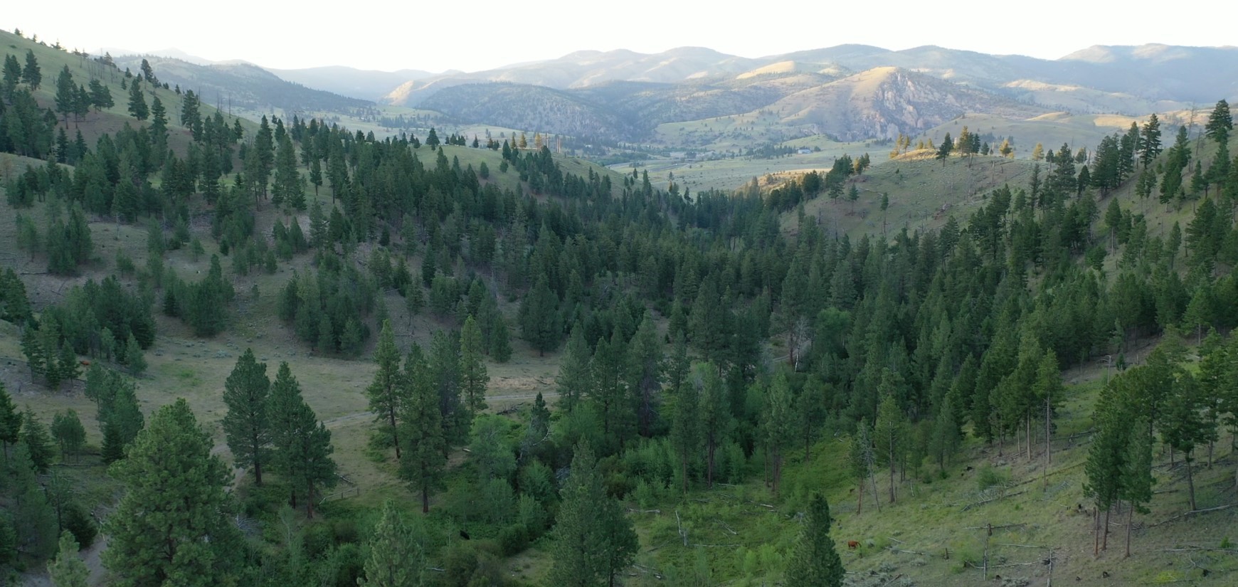 1 Tract, Bull Elk Property Photo 10