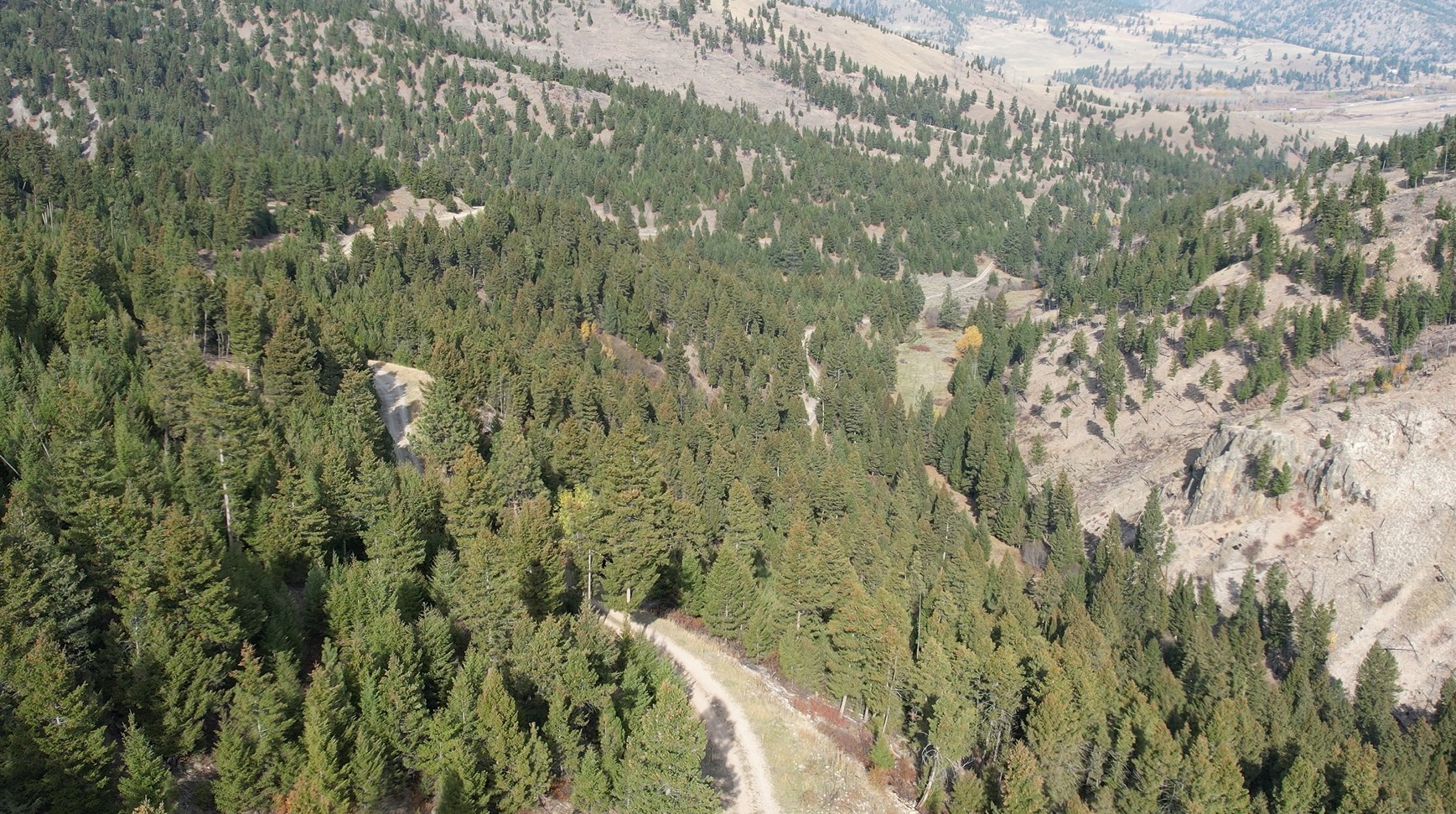 1 Tract, Bull Elk Property Photo 13
