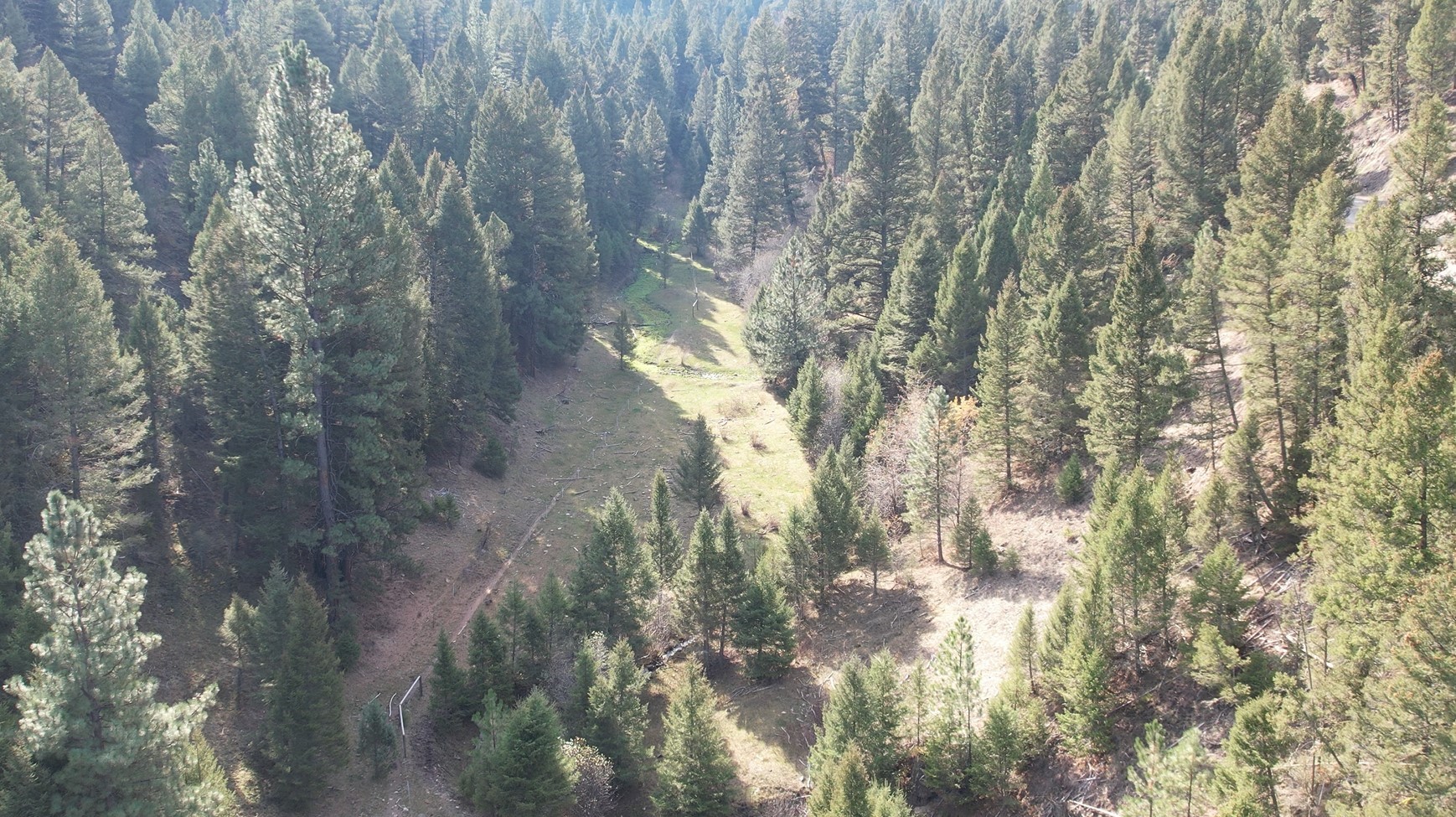 1 Tract, Bull Elk Property Photo 14