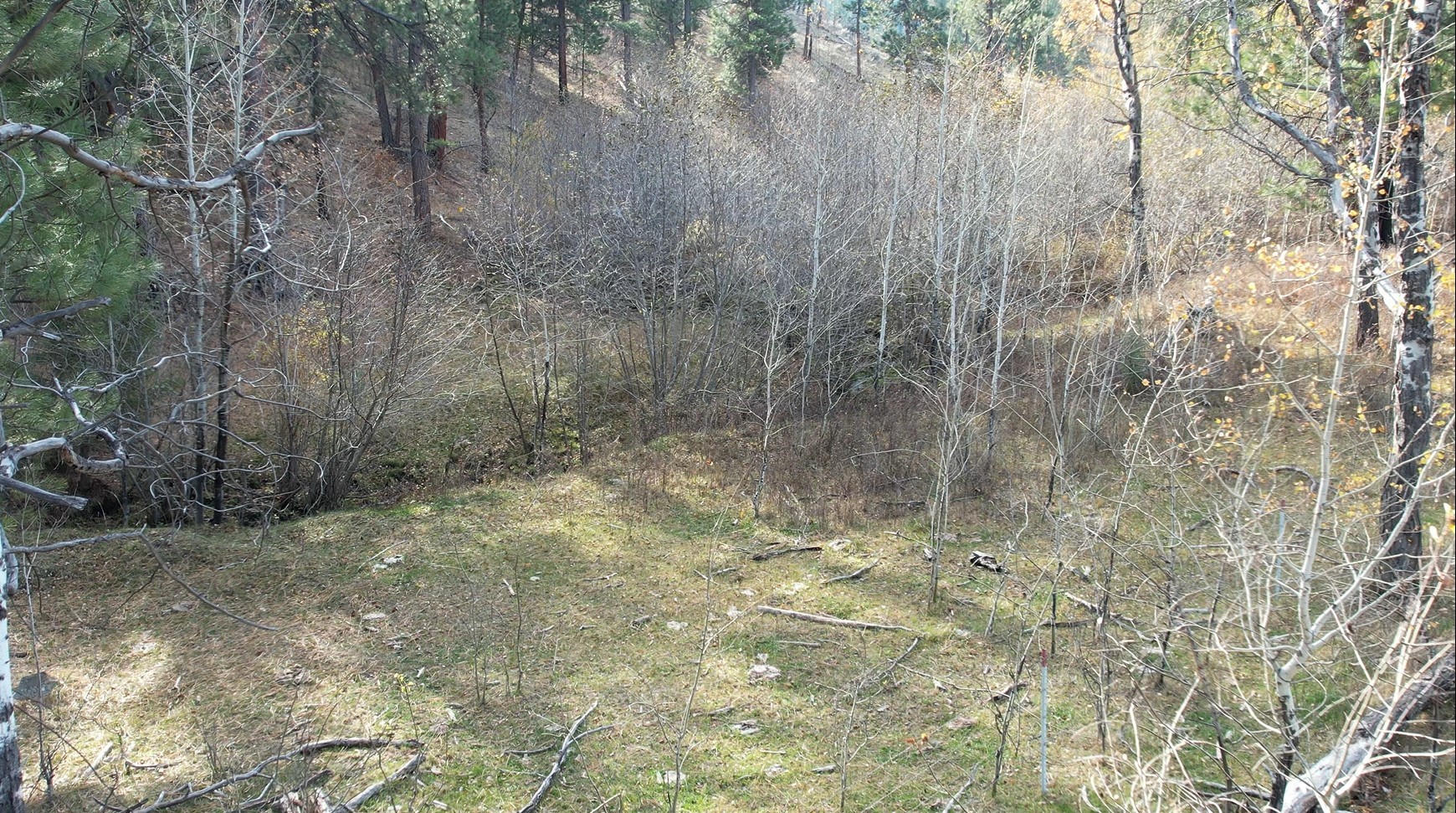 1 Tract, Bull Elk Property Photo 15