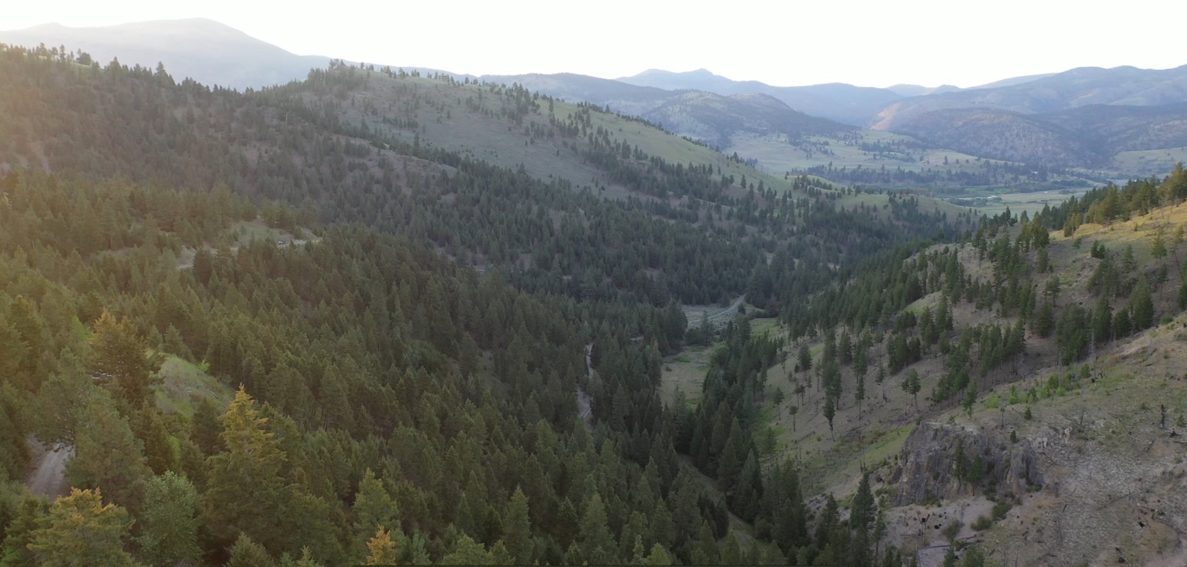 1 Tract, Bull Elk Property Photo 16