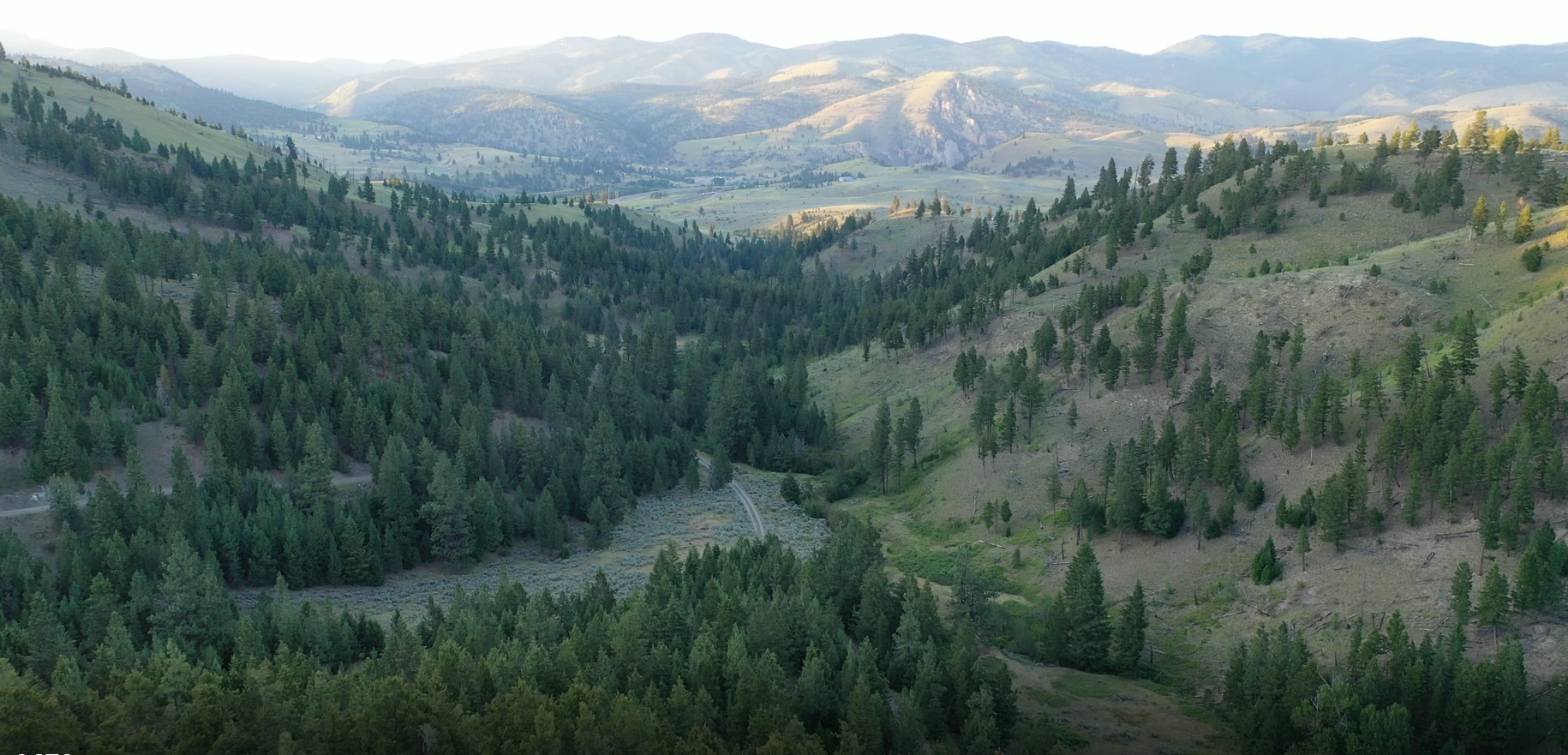 1 Tract, Bull Elk Property Photo 17