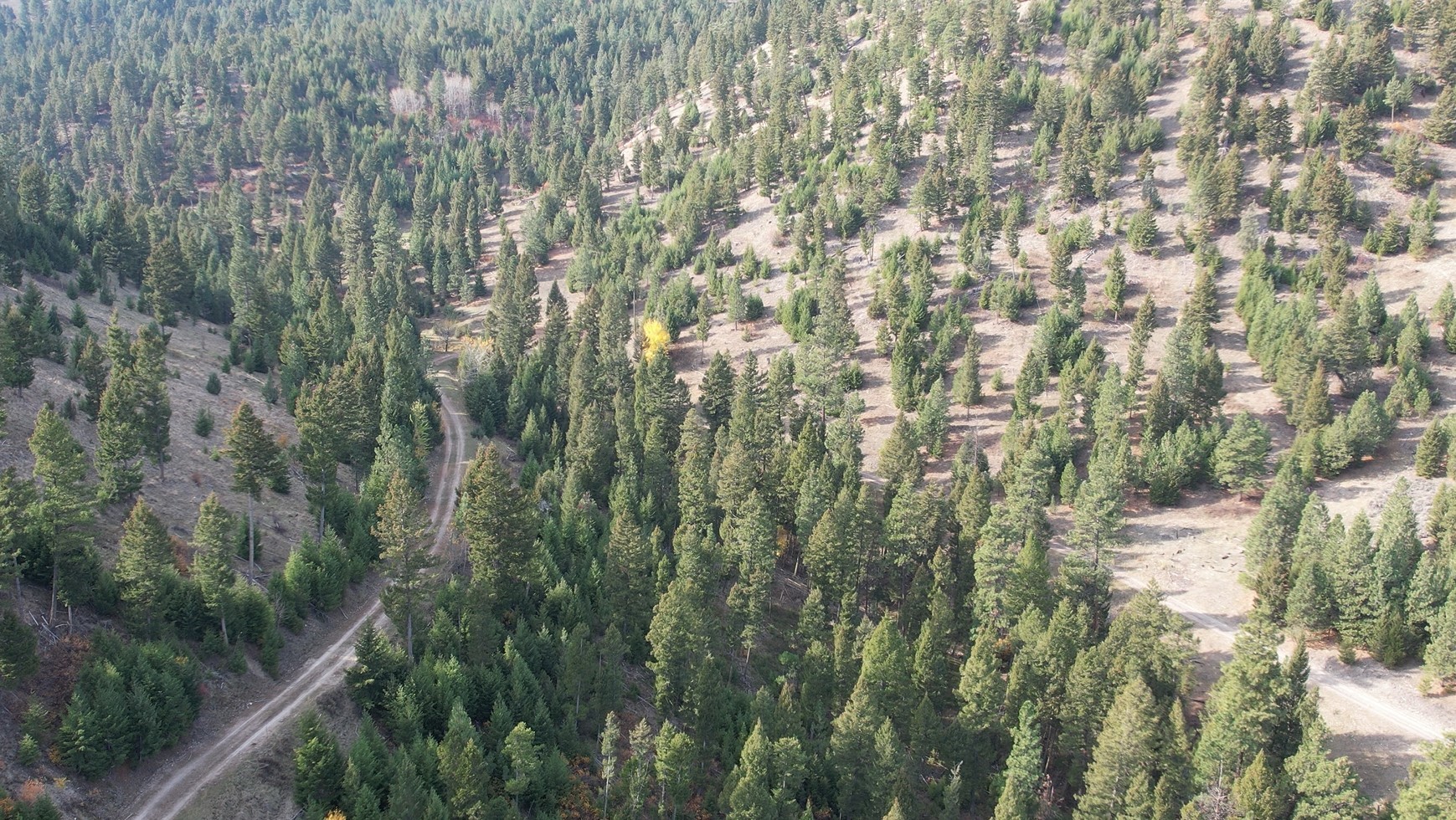 1 Tract, Bull Elk Property Photo 18