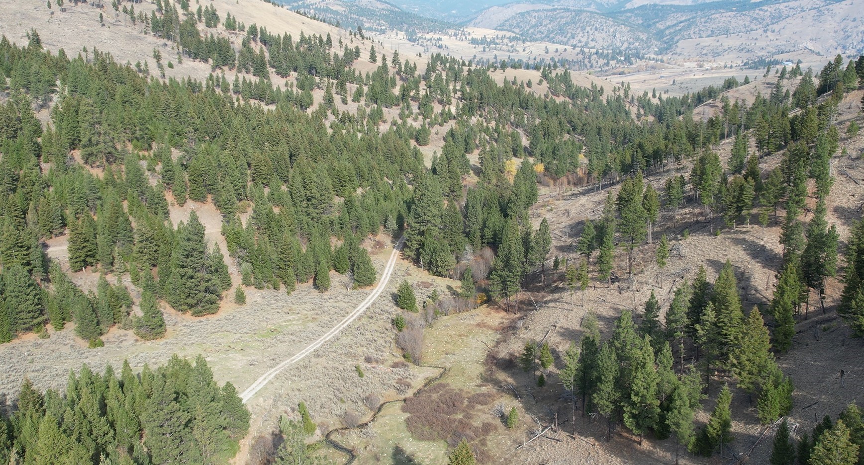 1 Tract, Bull Elk Property Photo 23