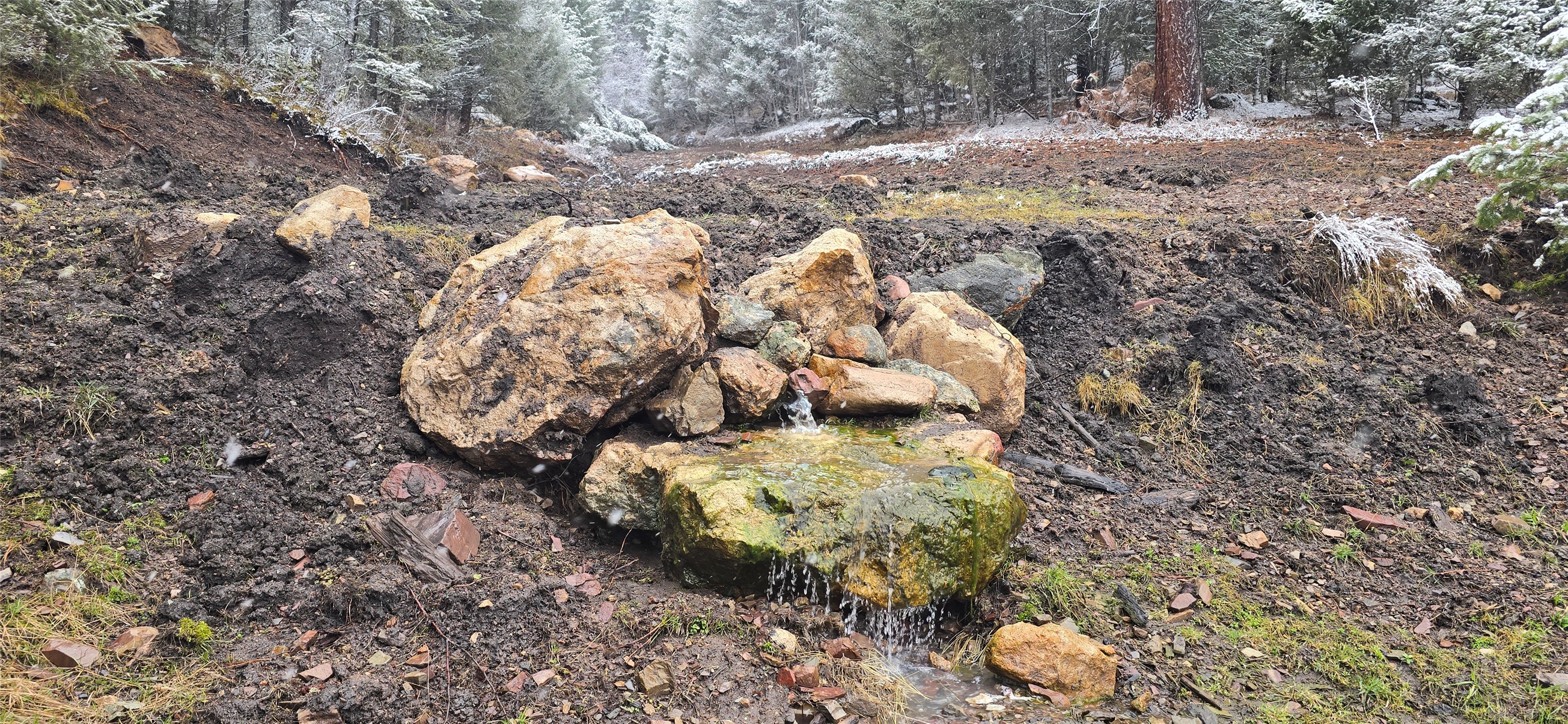 4 Tract, Bull Elk Property Photo 2