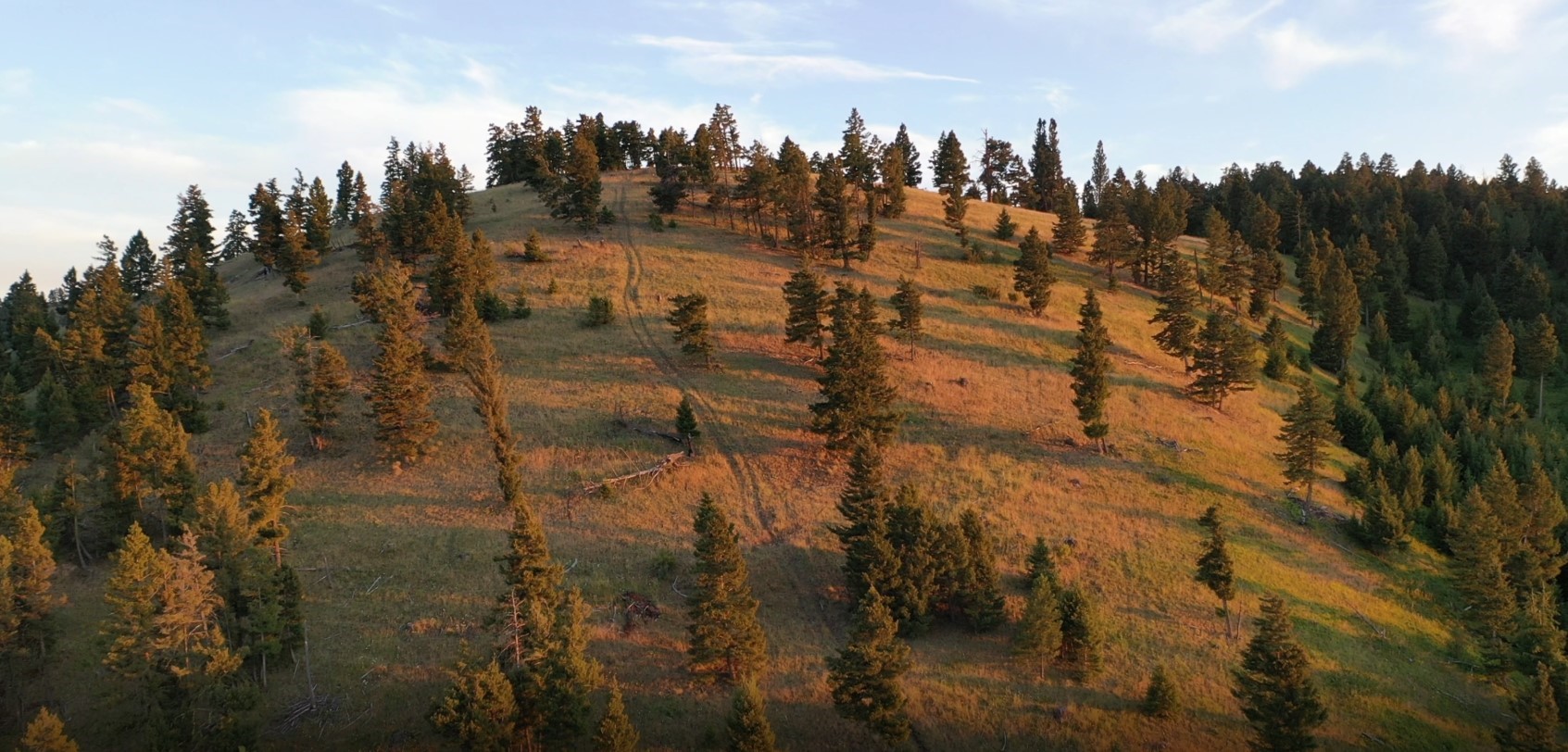 4 Tract, Bull Elk Property Photo 10