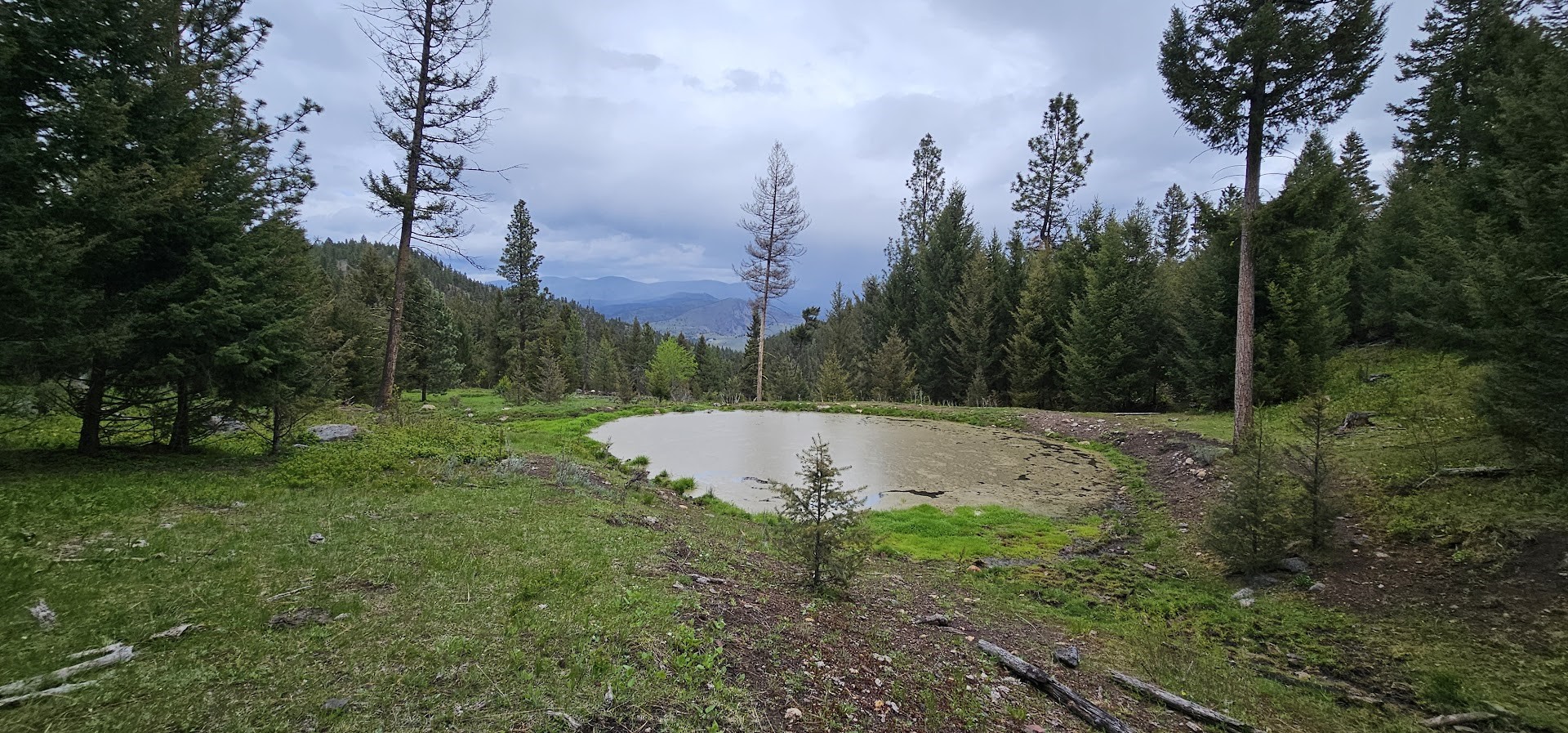 4 Tract, Bull Elk Property Photo 13