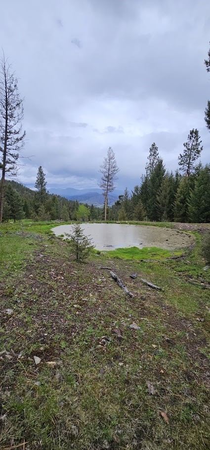 4 Tract, Bull Elk Property Photo 14