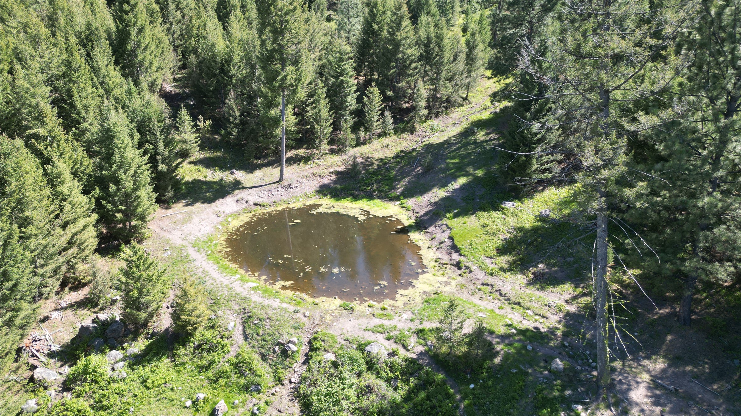4 Tract, Bull Elk Property Photo 15