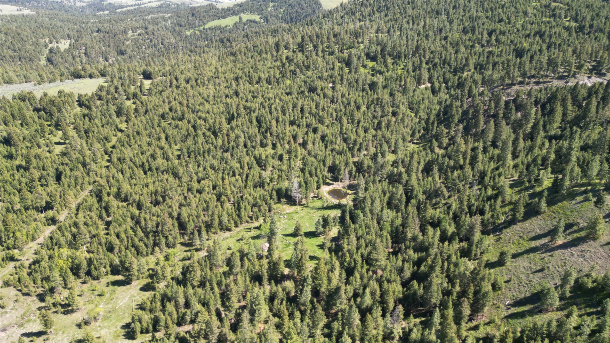 4 Tract, Bull Elk Property Photo 17