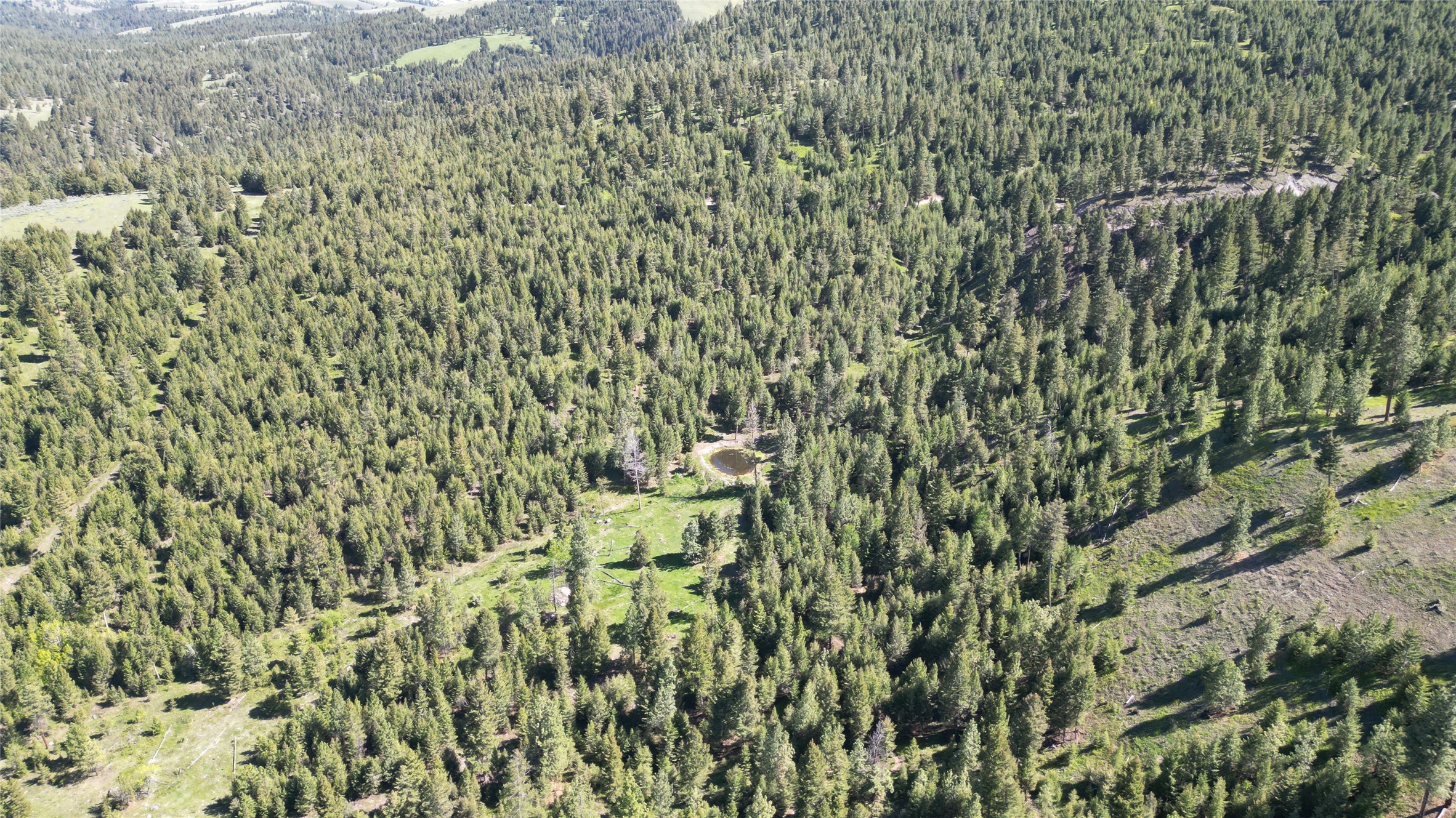 4 Tract, Bull Elk Property Photo 18
