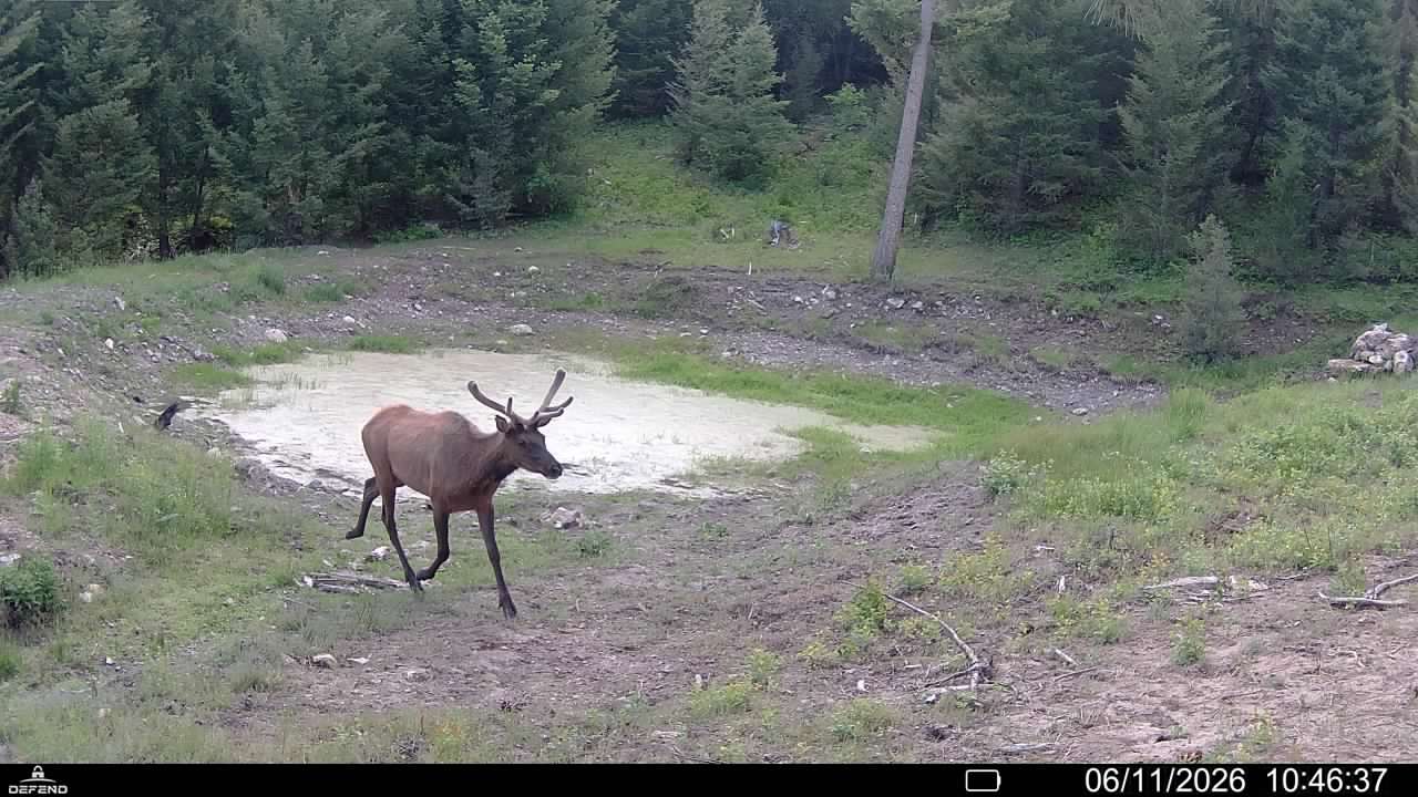 4 Tract, Bull Elk Property Photo 21