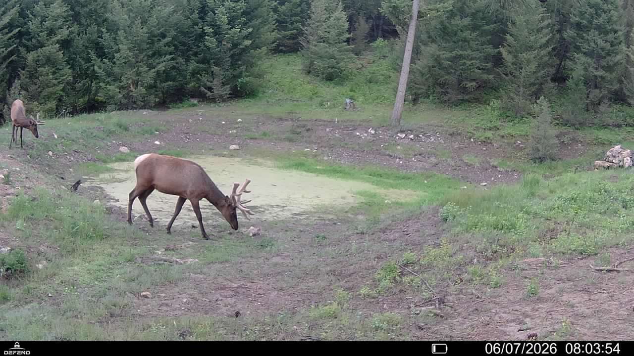 4 Tract, Bull Elk Property Photo 22