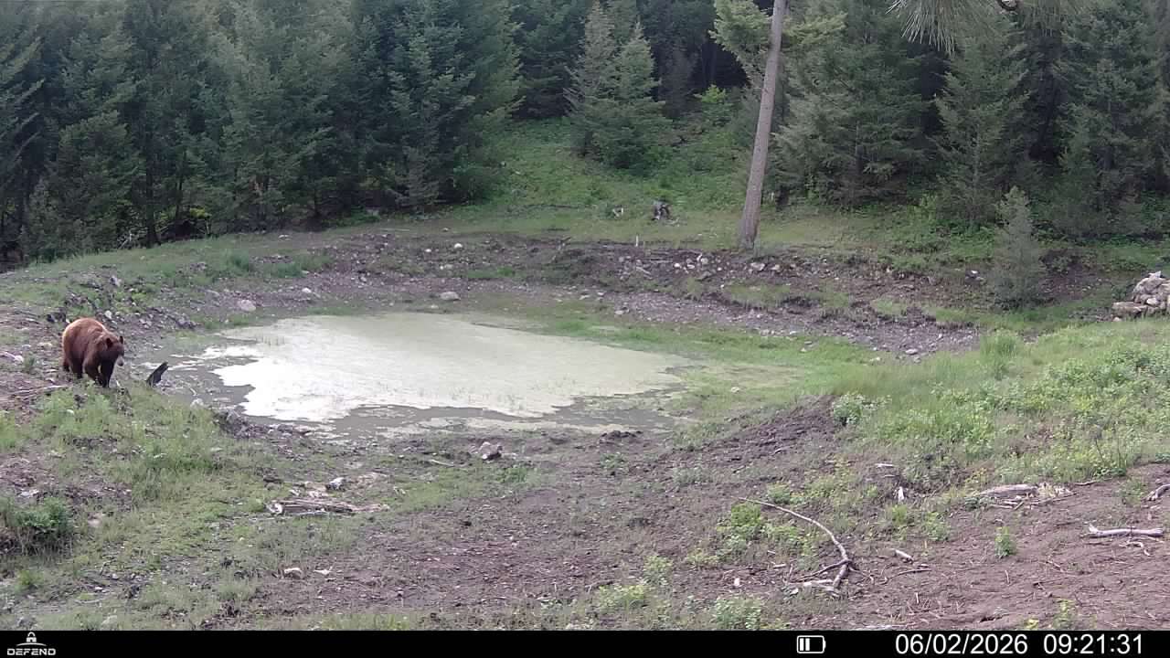 4 Tract, Bull Elk Property Photo 23