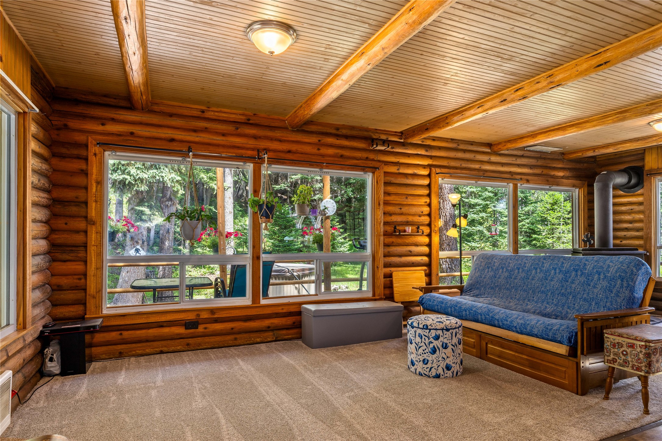 136 Brown Bear Lane Property Photo 4