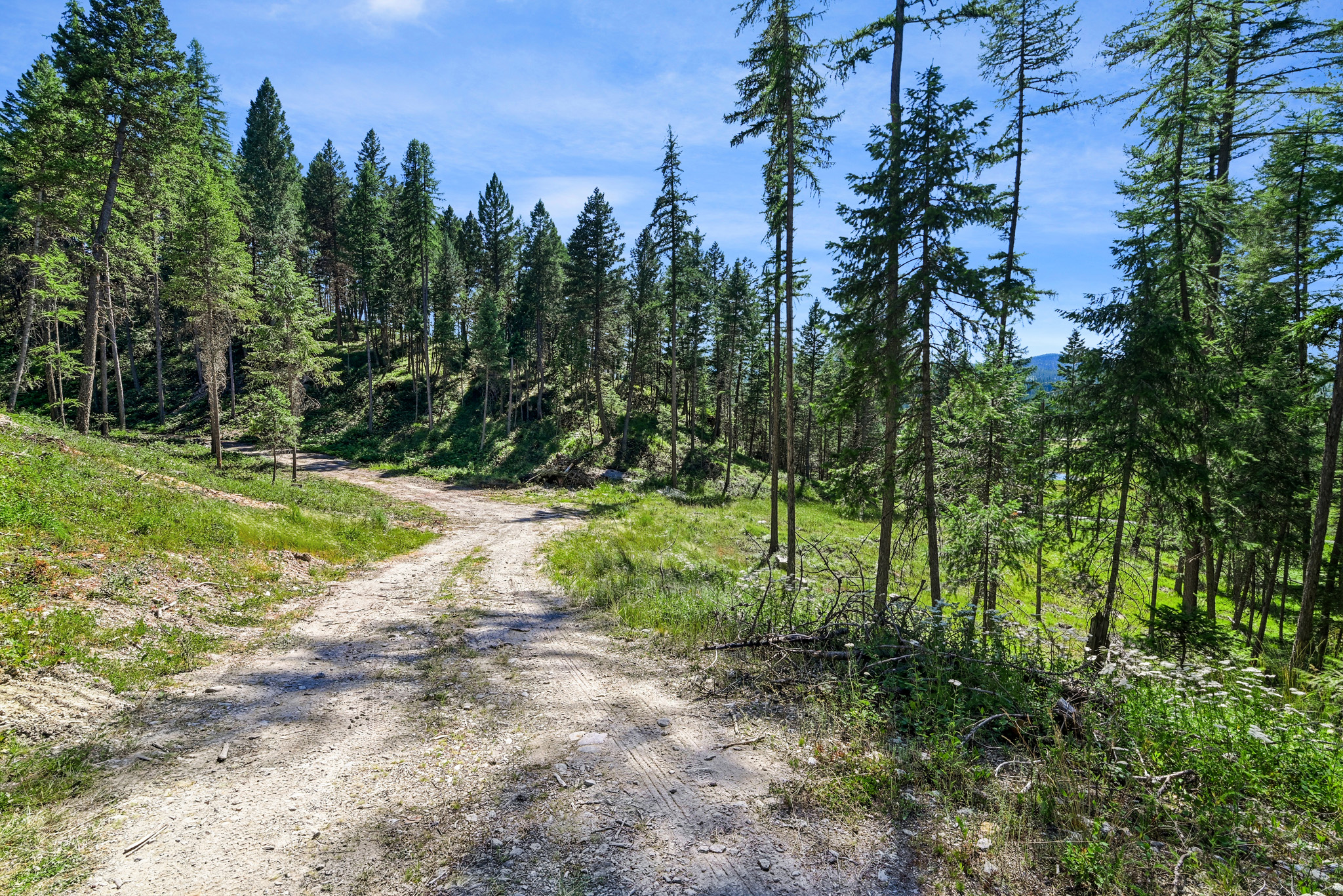 1082 Whitefish Ridge Road Property Photo 5