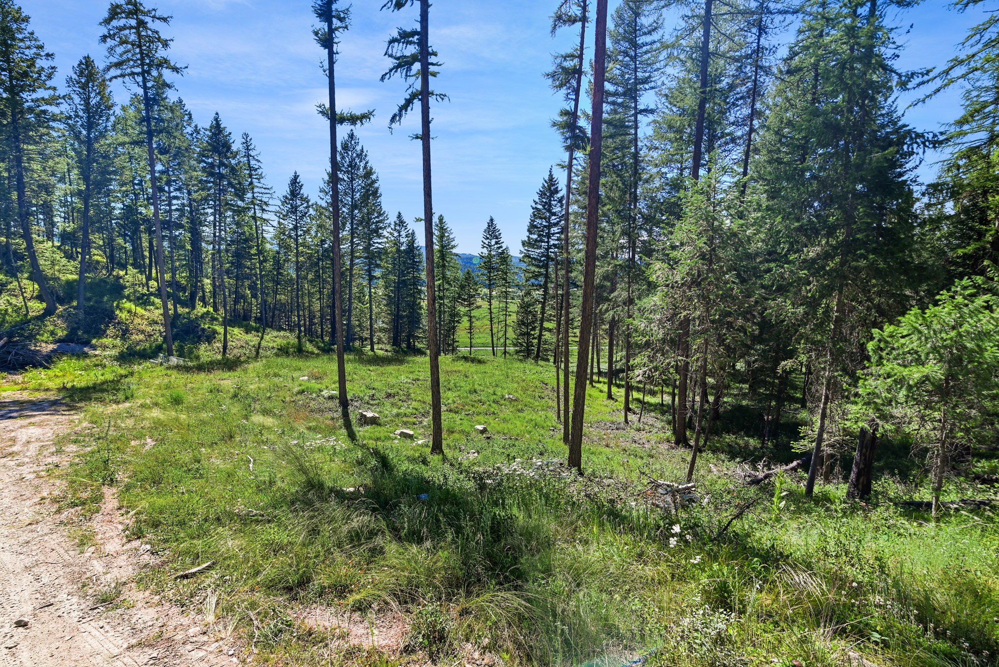 1082 Whitefish Ridge Road Property Photo 6