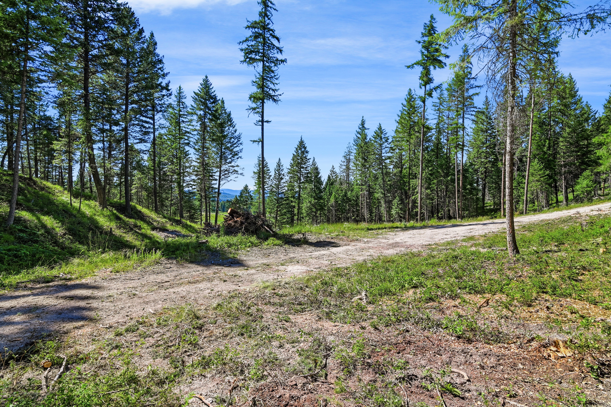 1082 Whitefish Ridge Road Property Photo 8