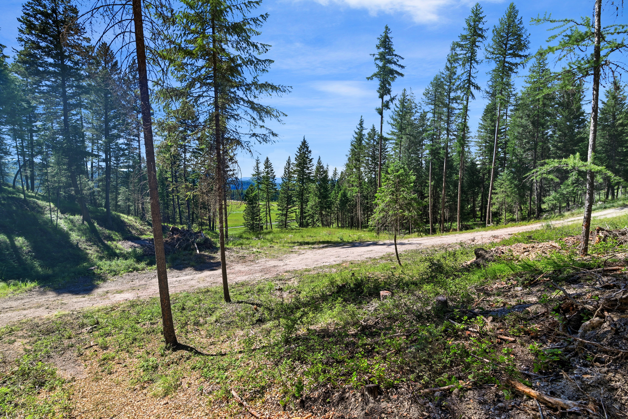 1082 Whitefish Ridge Road Property Photo 9