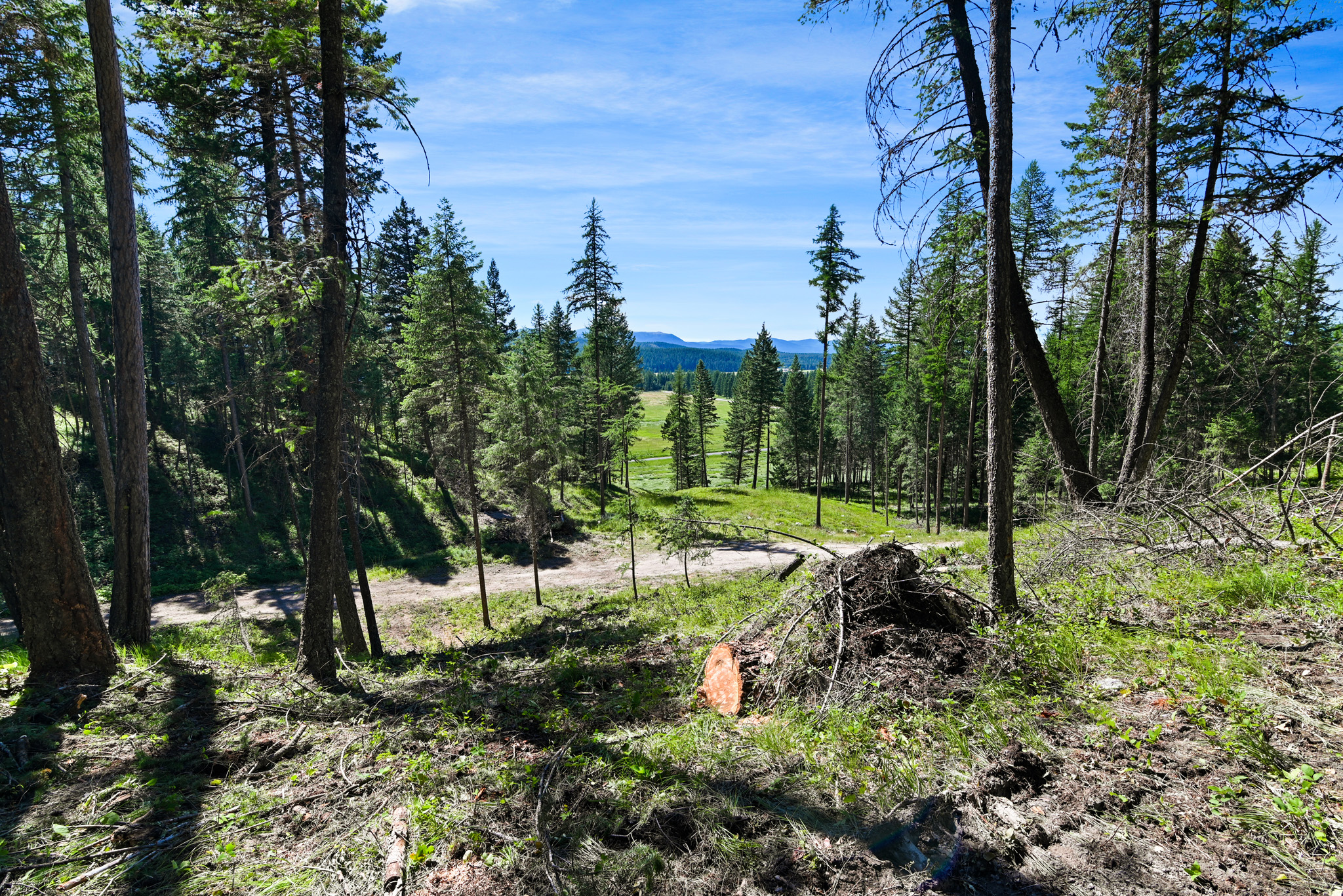 1082 Whitefish Ridge Road Property Photo 10
