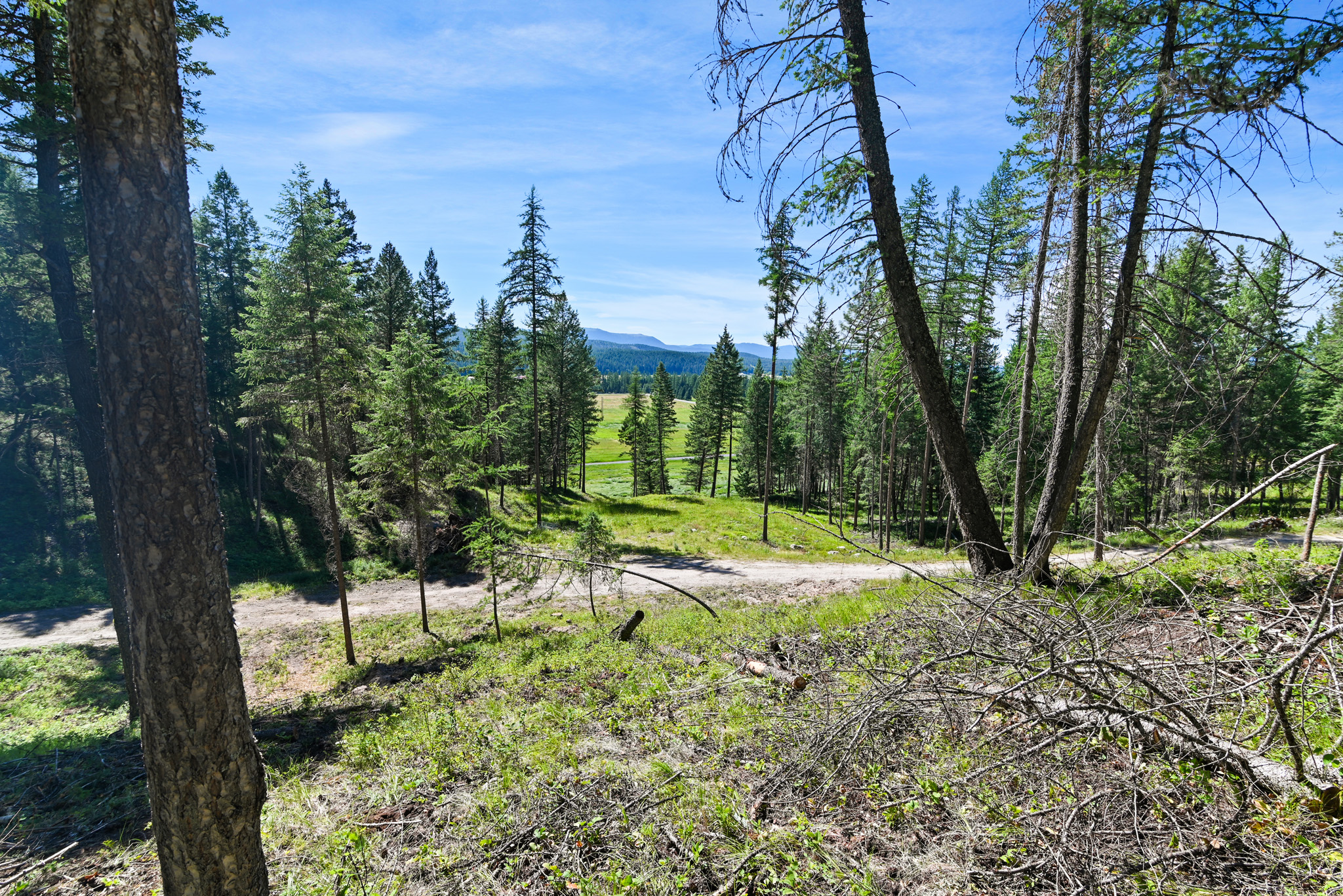 1082 Whitefish Ridge Road Property Photo 11