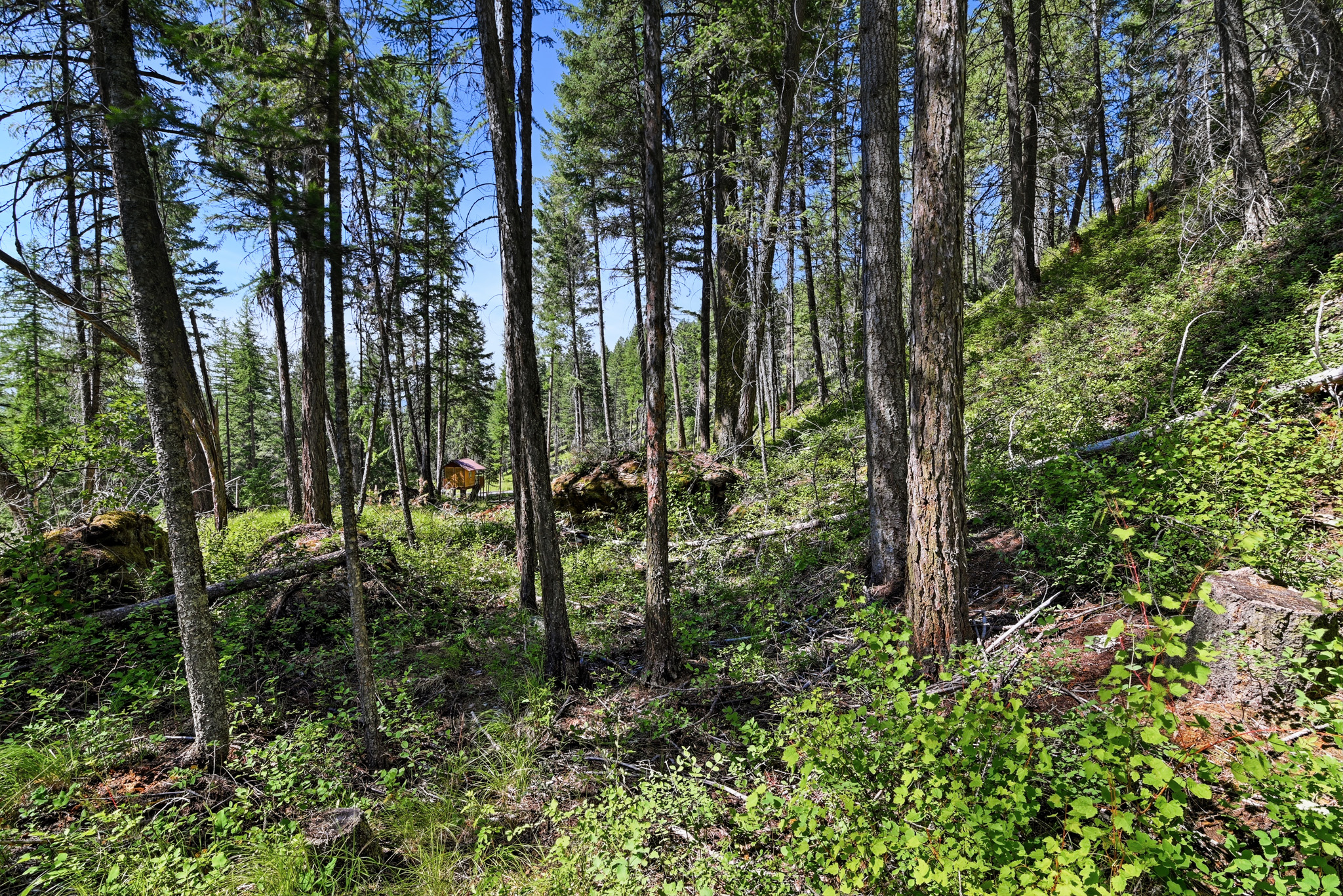 1082 Whitefish Ridge Road Property Photo 13