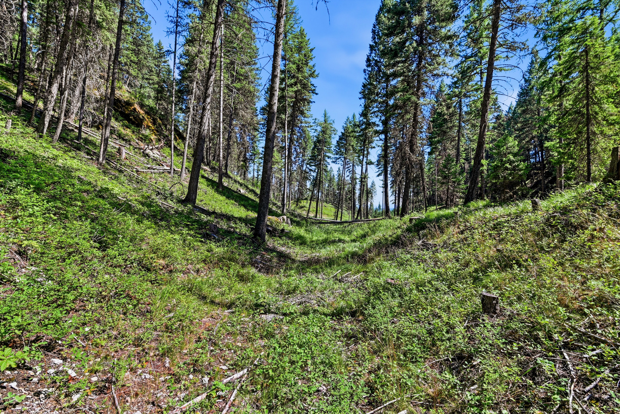 1082 Whitefish Ridge Road Property Photo 14