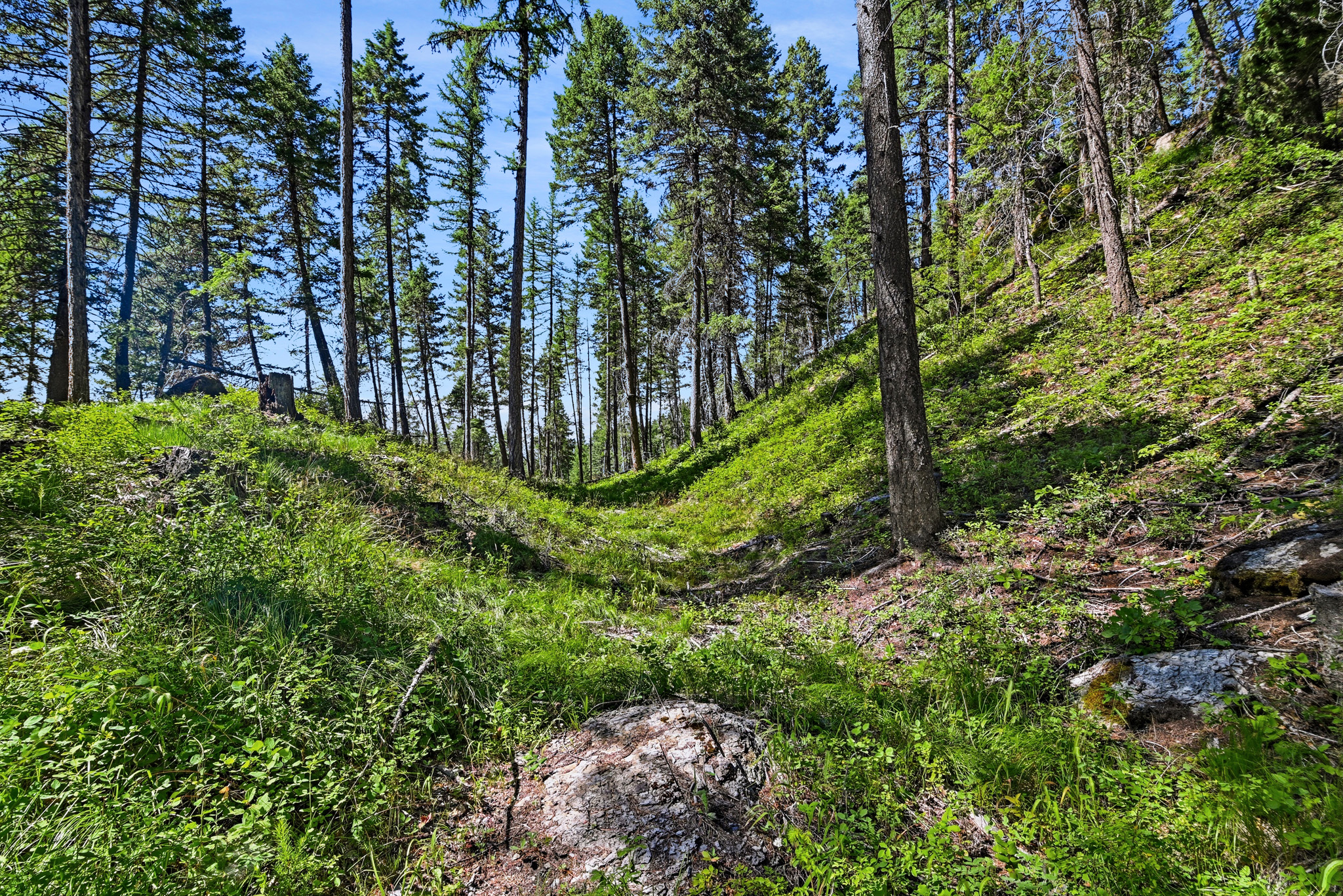 1082 Whitefish Ridge Road Property Photo 15