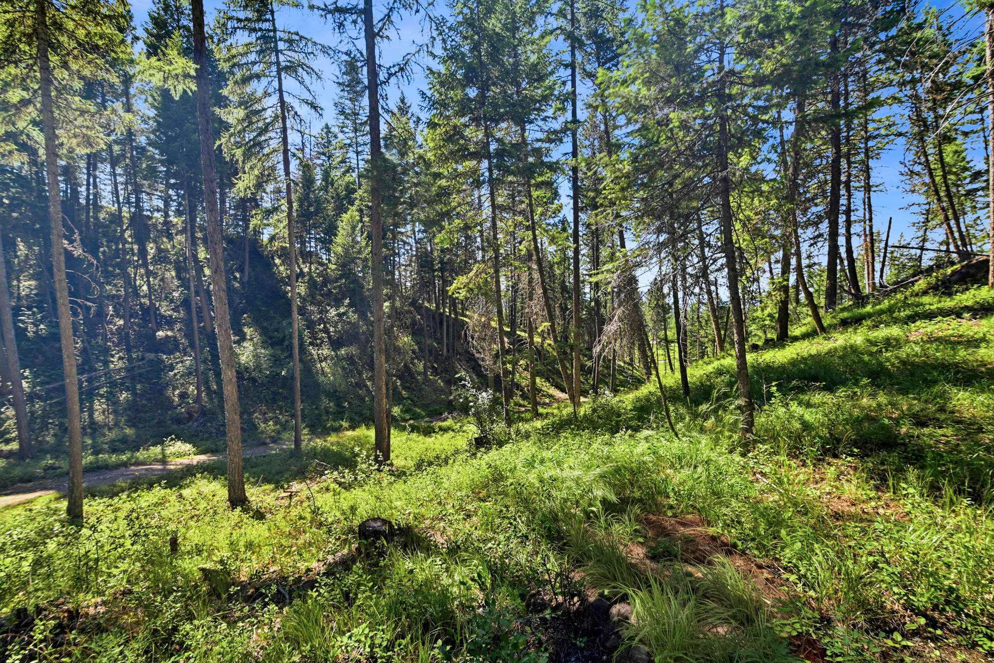 1082 Whitefish Ridge Road Property Photo 16