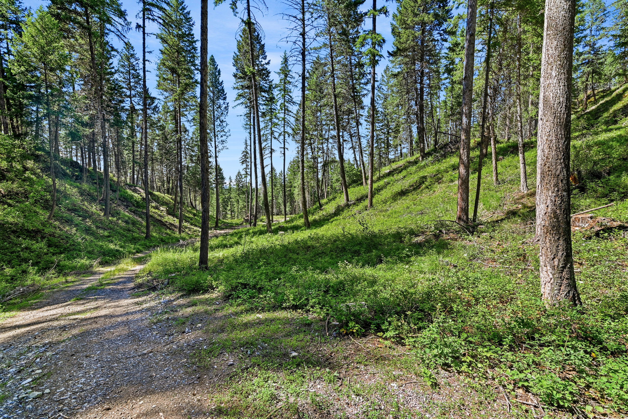 1082 Whitefish Ridge Road Property Photo 17