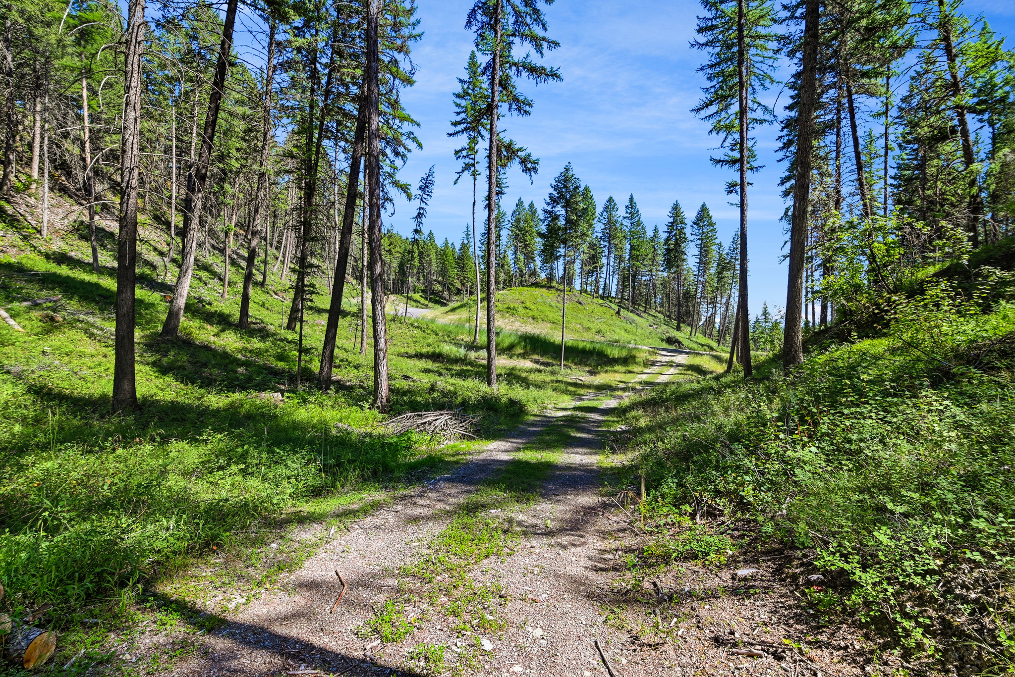1082 Whitefish Ridge Road Property Photo 18