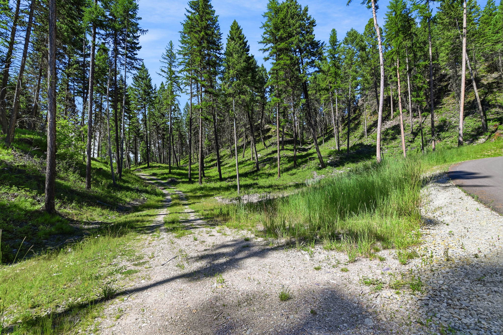 1082 Whitefish Ridge Road Property Photo 19