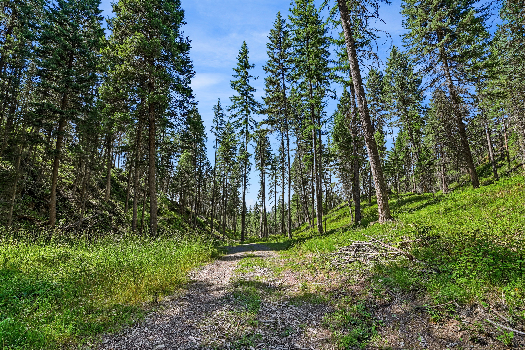 1082 Whitefish Ridge Road Property Photo 22