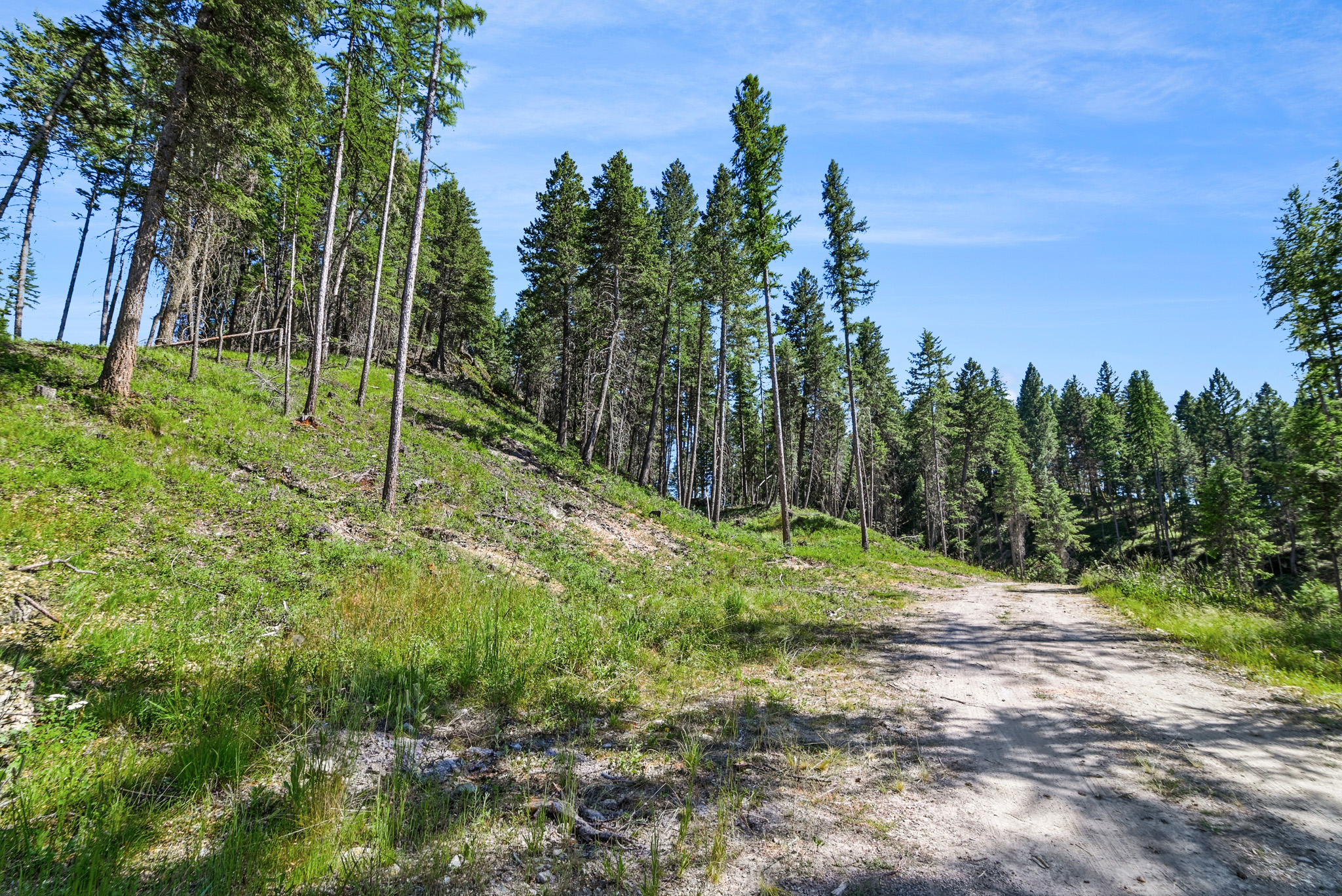 1082 Whitefish Ridge Road Property Photo 24
