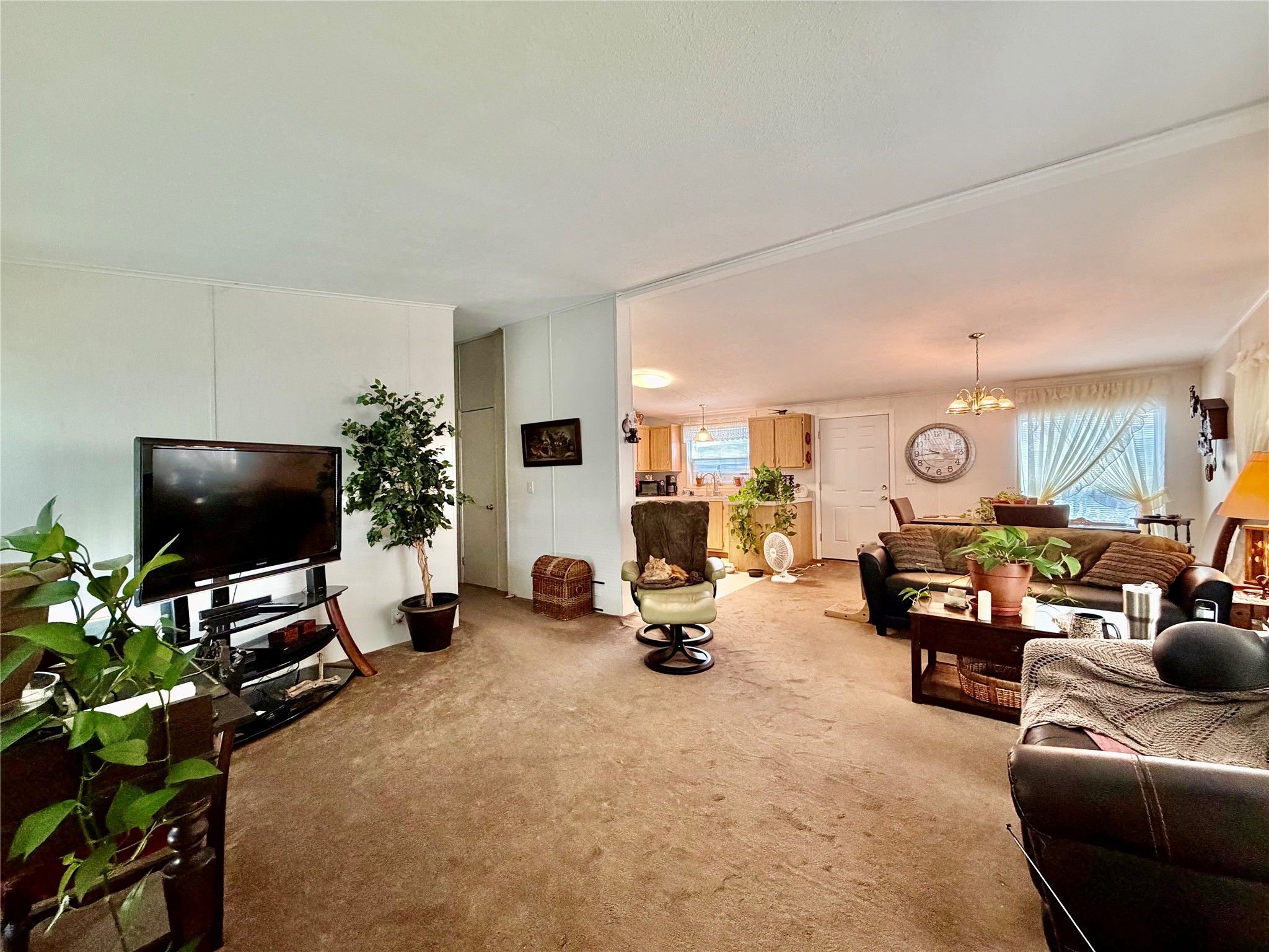 6010 Lebeau Drive Property Photo 1