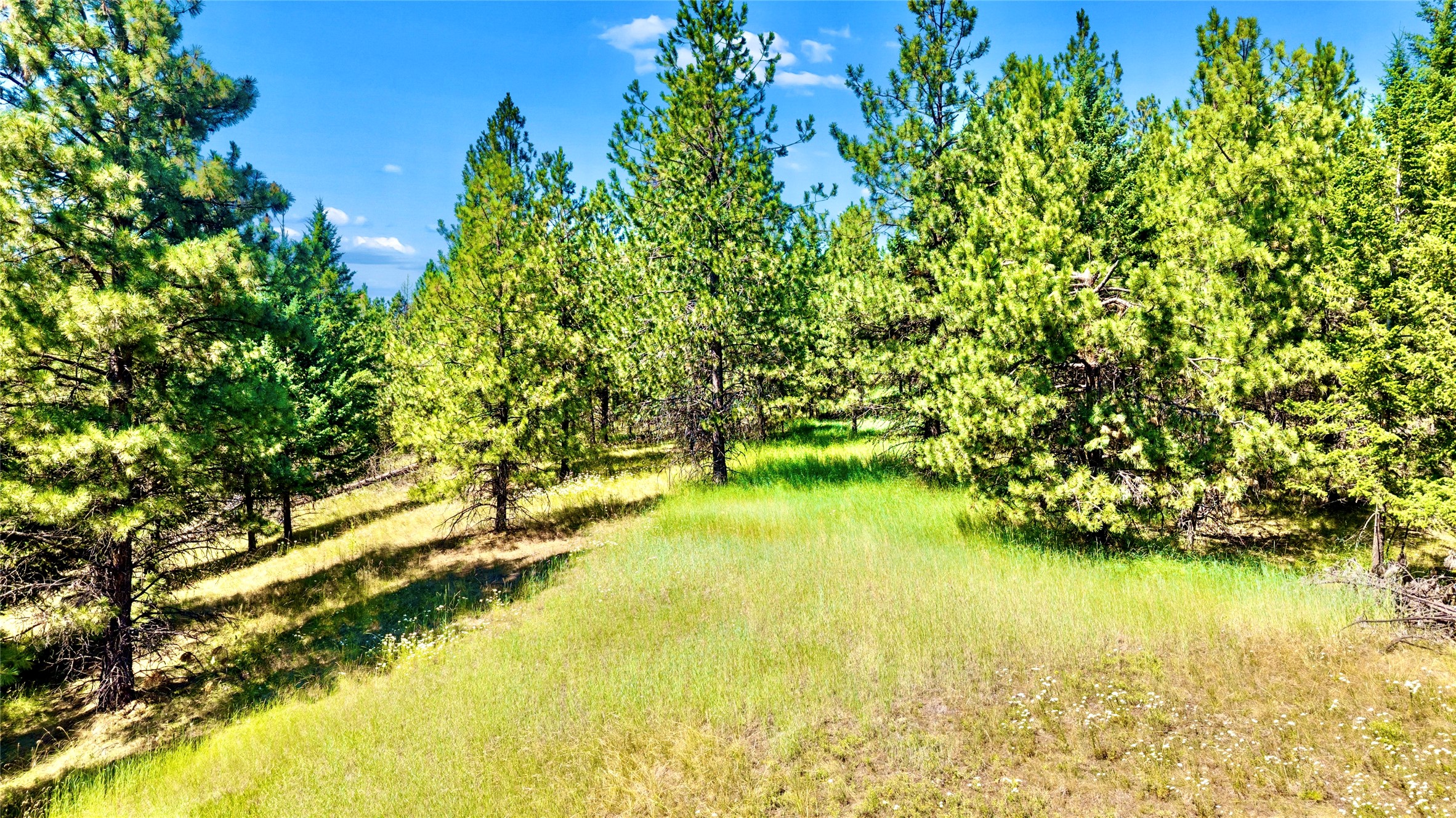 Nhn N Rolling Hills Road Property Photo 1
