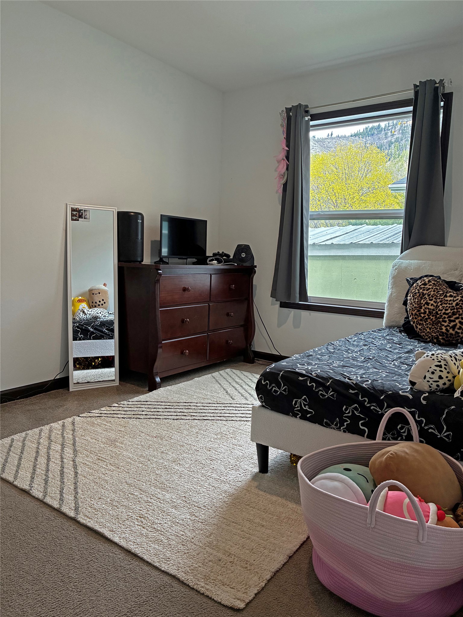 1105 Haaglund Drive Property Photo 5