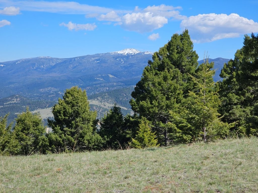 Banner Clancy Creek Road Property Photo 1