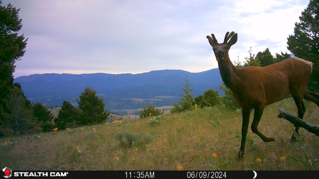 Banner Clancy Creek Road Property Photo 2