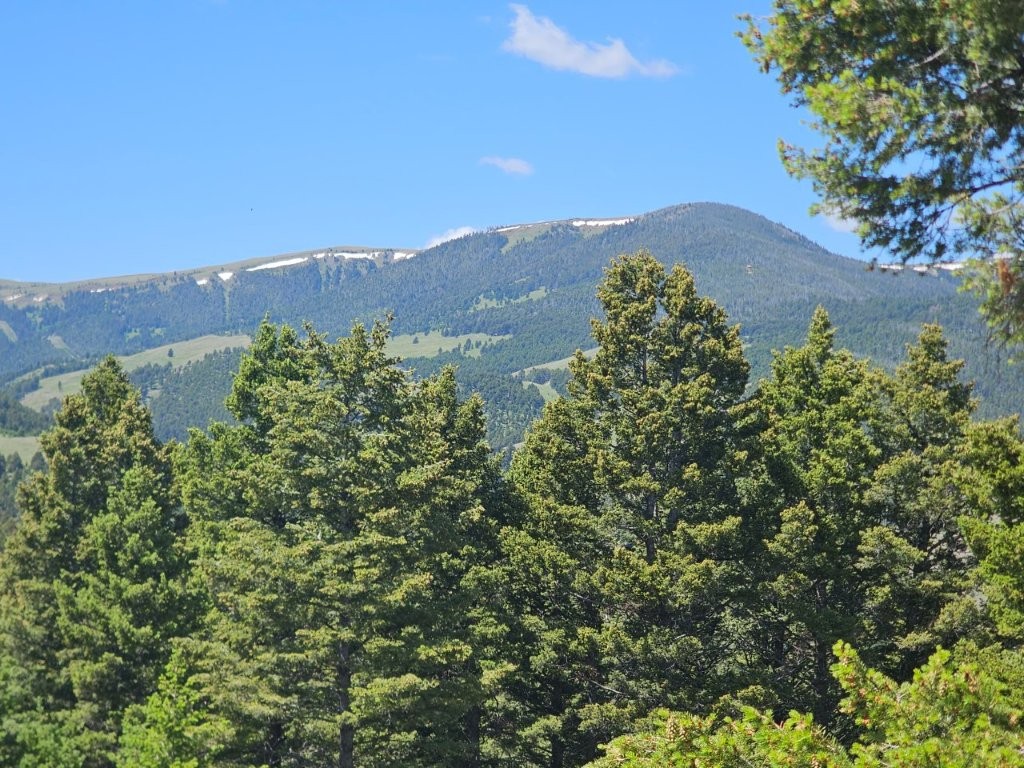 Banner Clancy Creek Road Property Photo 3