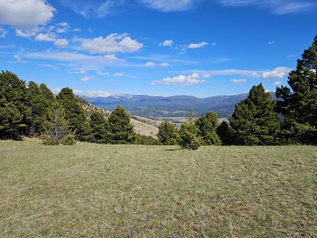 Banner Clancy Creek Road Property Photo 4