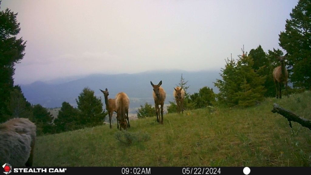 Banner Clancy Creek Road Property Photo 5