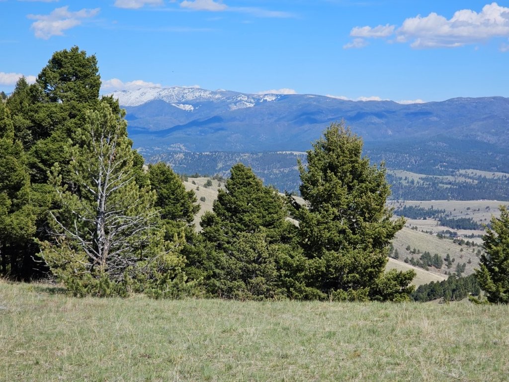 Banner Clancy Creek Road Property Photo 6
